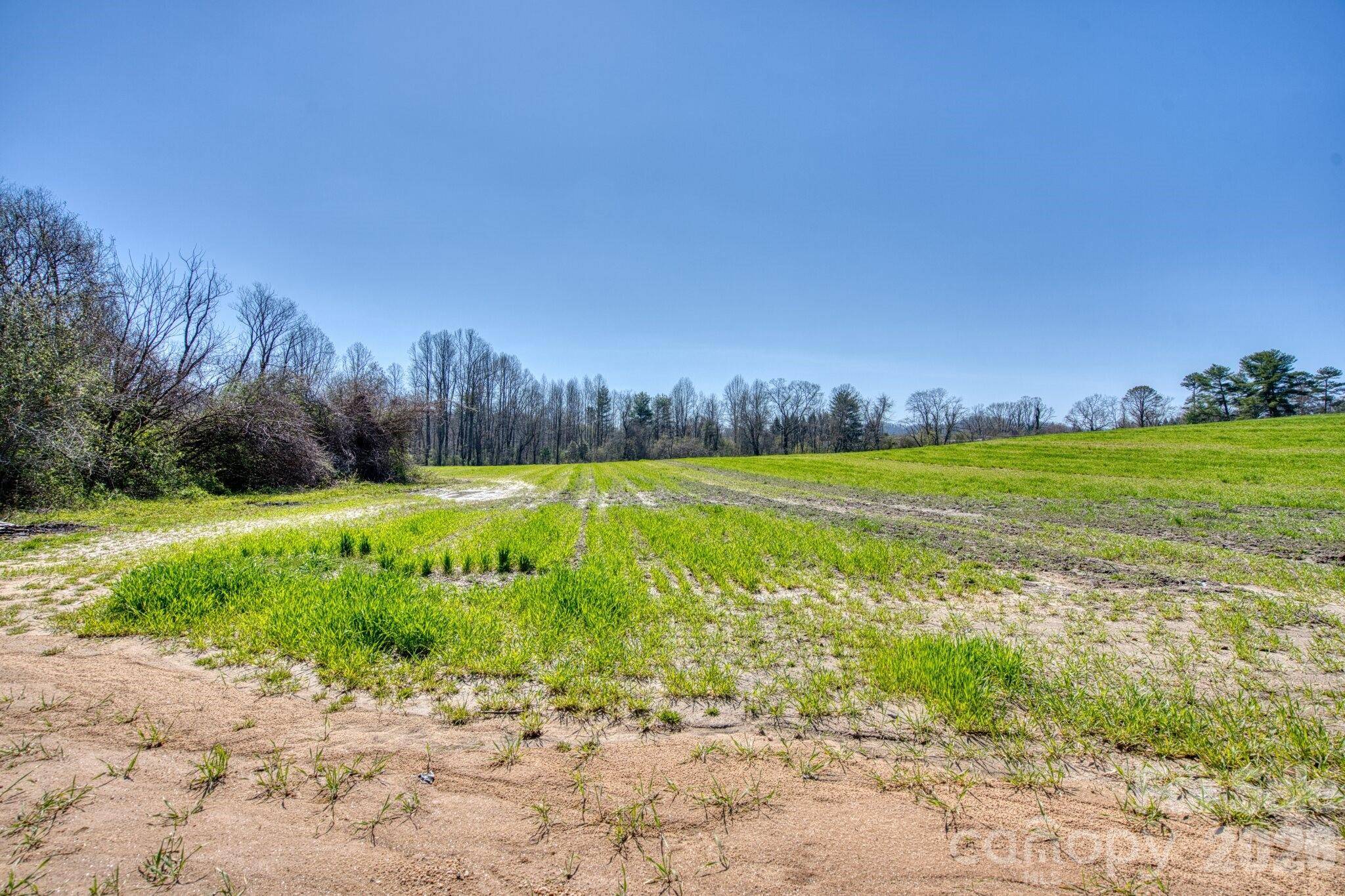 TBD Mohican TRL, Hendersonville, NC 28726