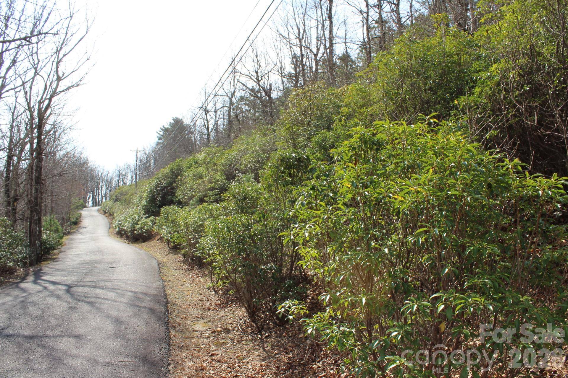 Lot 9 Sunset Ridge DR #9, Columbus, NC 28722