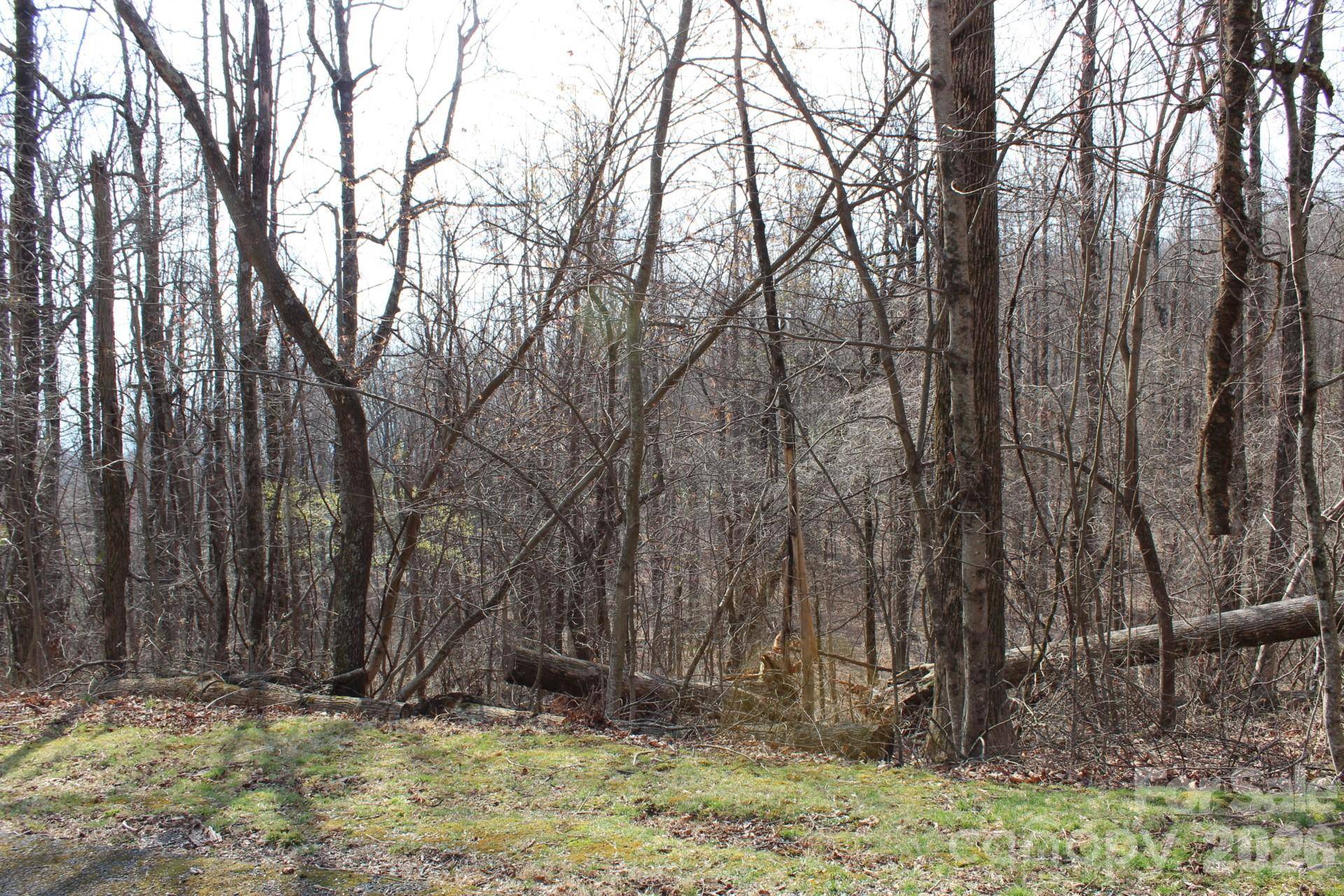 Lot 20 Sunset Ridge DR #20, Columbus, NC 28722