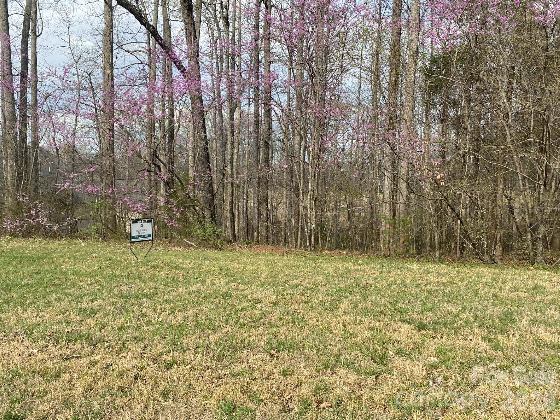 4075 Bob Jones DR NE #29, Conover, NC 28613