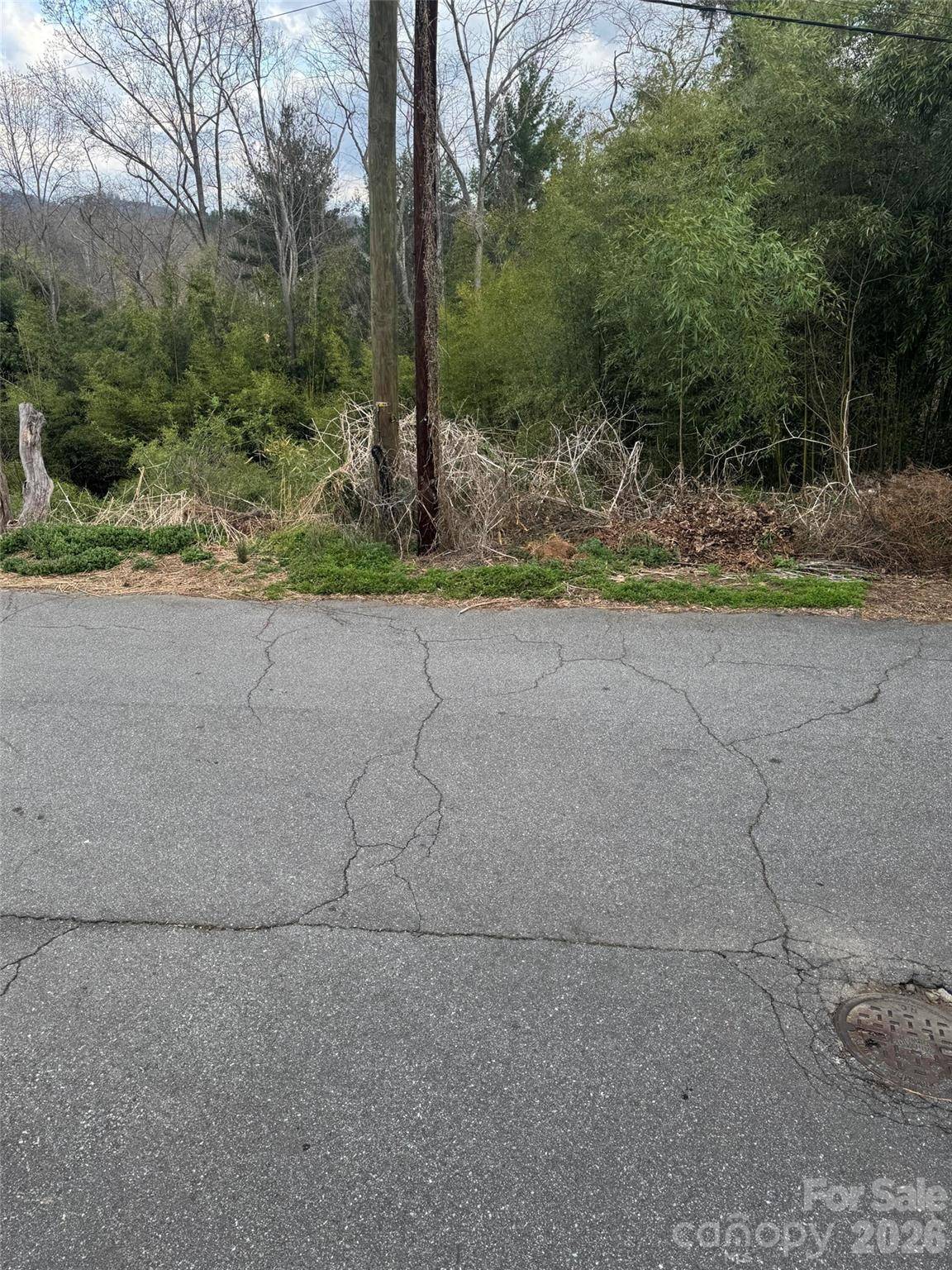 38 Belleair RD, Asheville, NC 28806