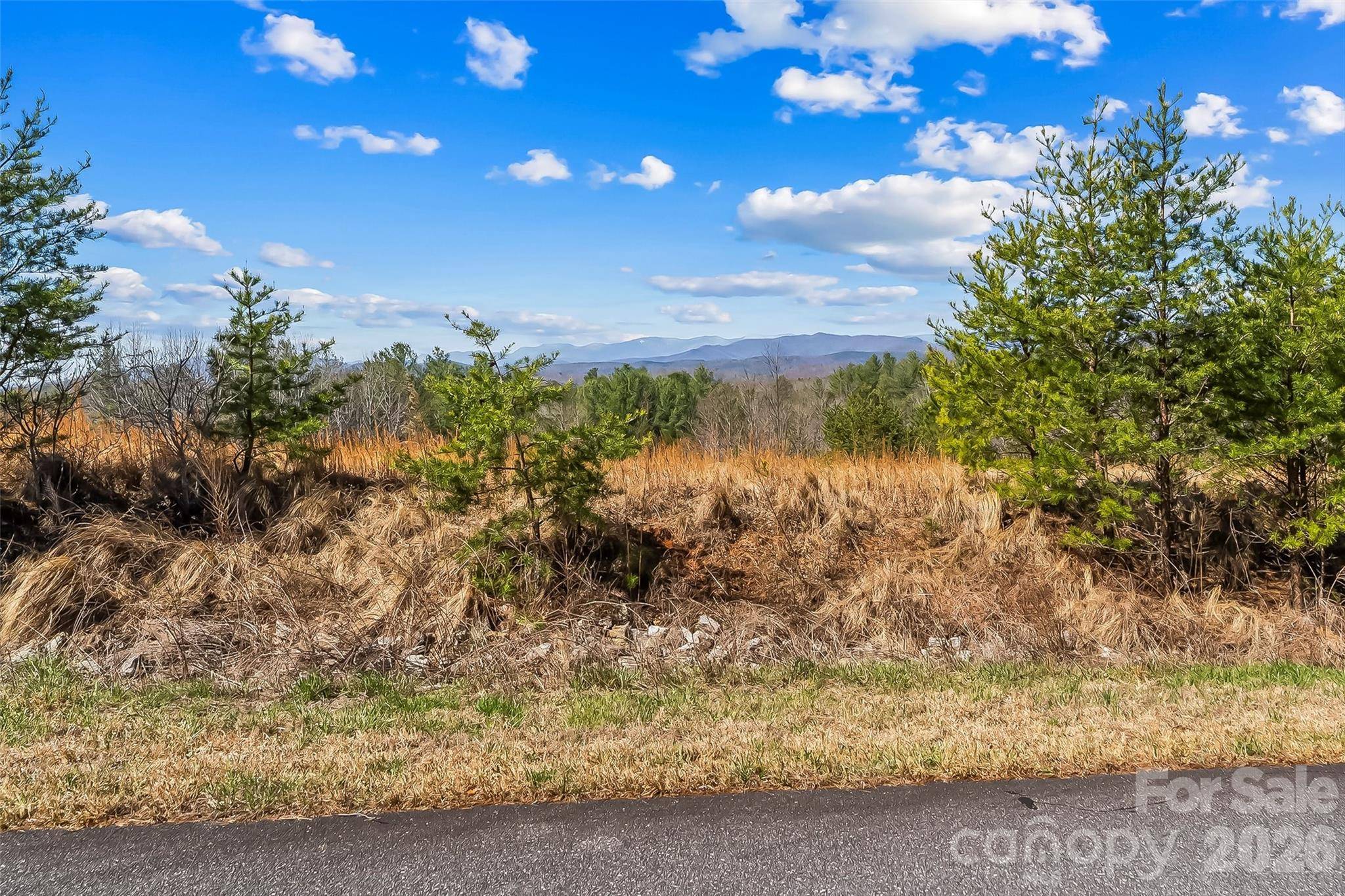 121 Lake Crest DR #lot 37 & 36, Nebo, NC 28761