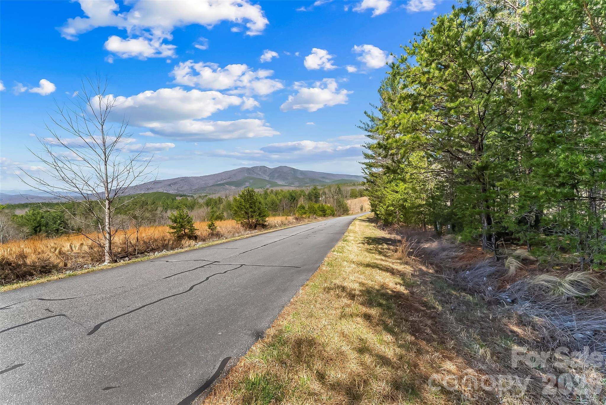 121 Lake Crest DR #lot 37 & 36, Nebo, NC 28761