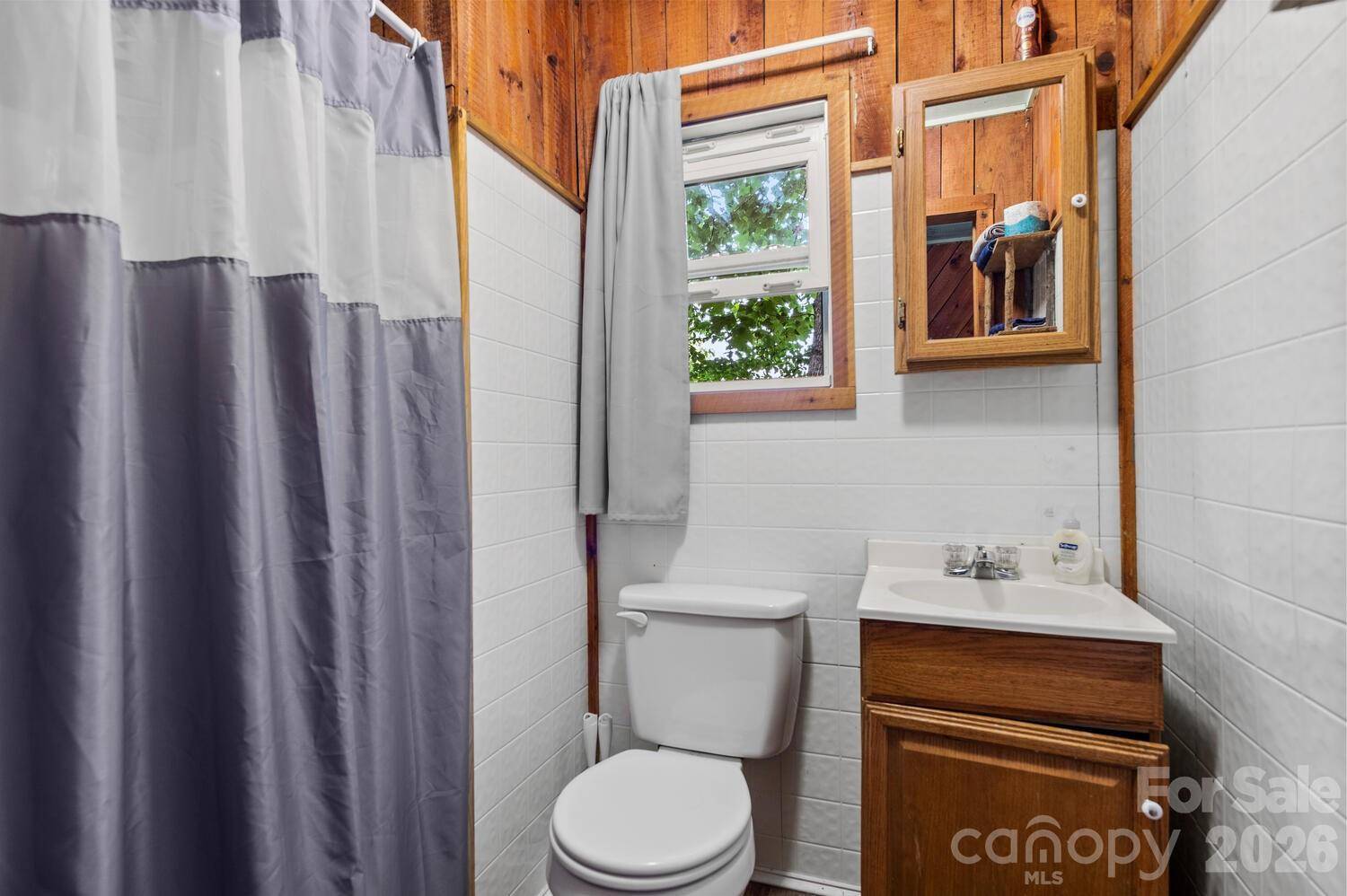 264 Rebel DR, Hot Springs, NC 28743