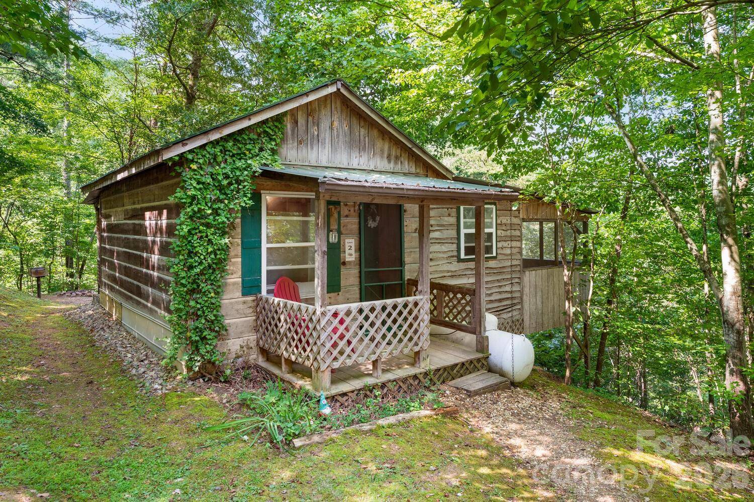 264 Rebel DR, Hot Springs, NC 28743