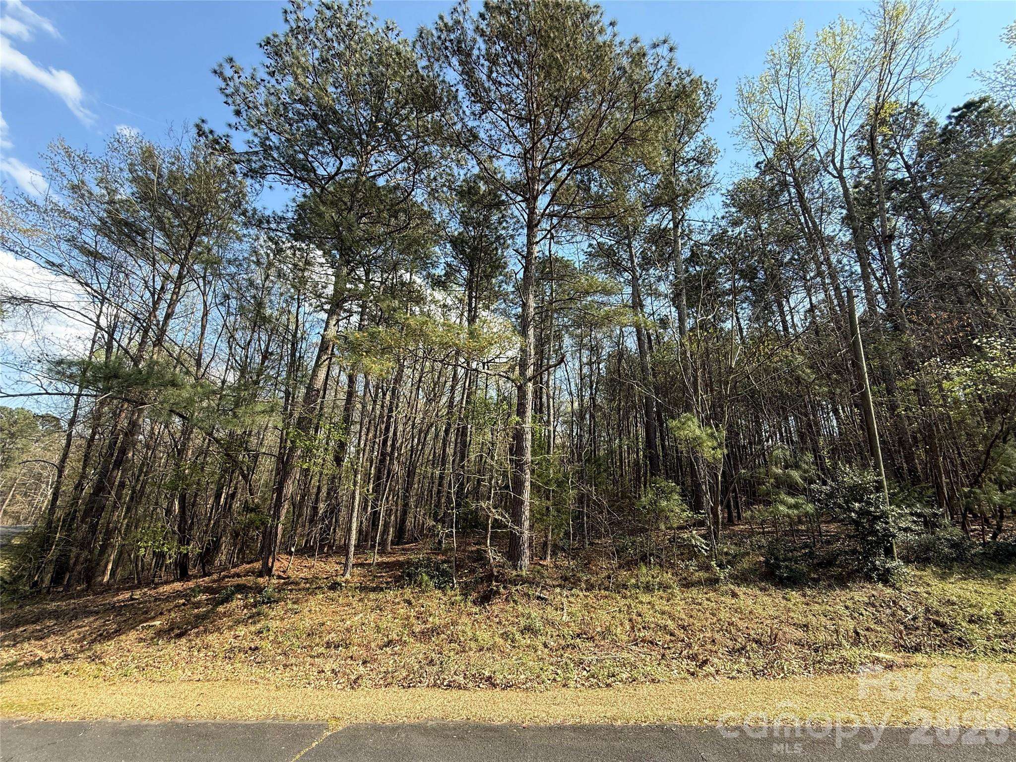 TBD E Goldmine RD, Wadesboro, NC 28170