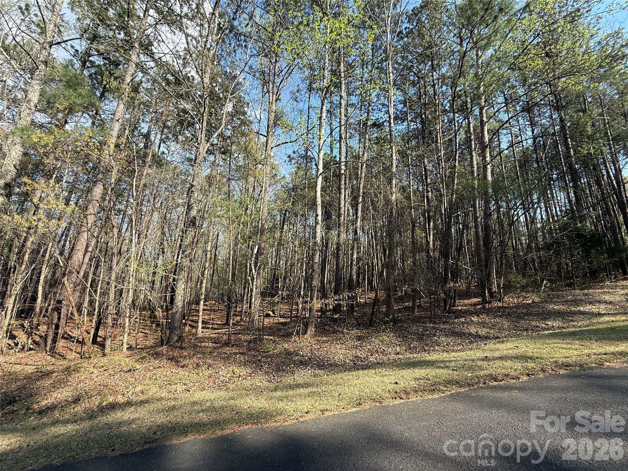 TBD E Goldmine RD, Wadesboro, NC 28170