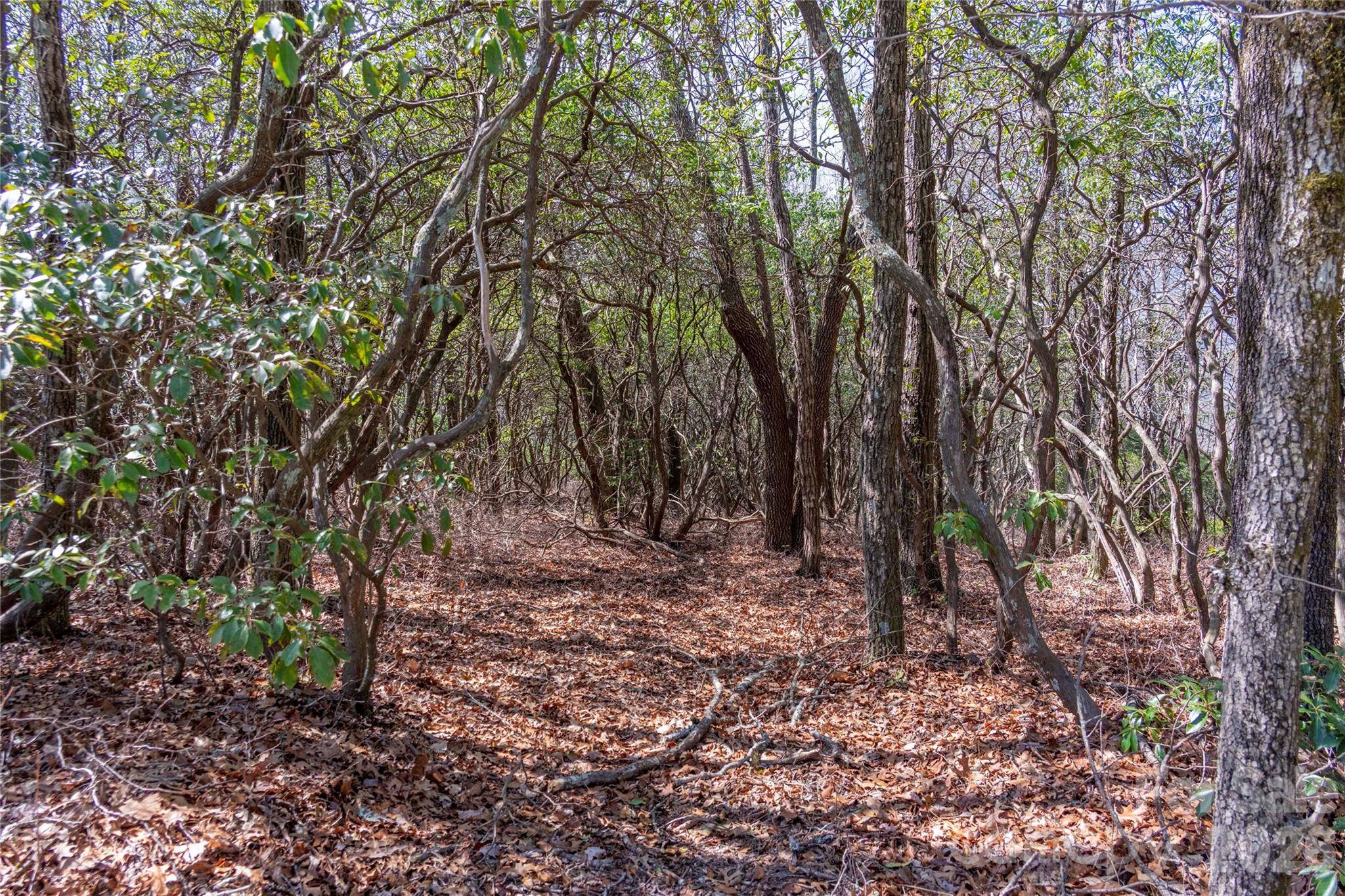 Lot 14 Lakeside DR, Lake Toxaway, NC 28747