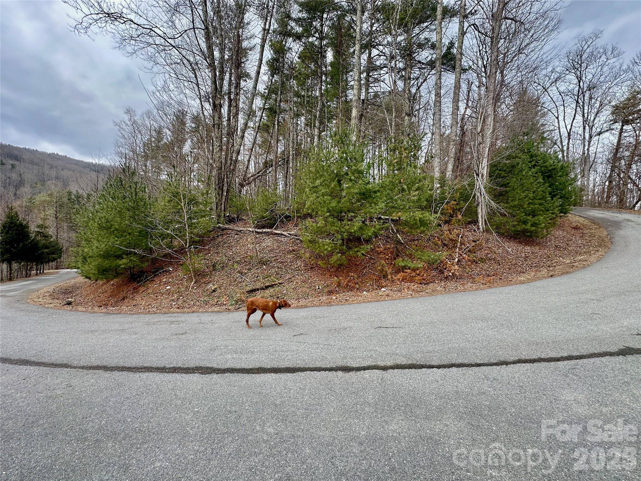 TBD mantera RDG, Sugar Grove, NC 28679