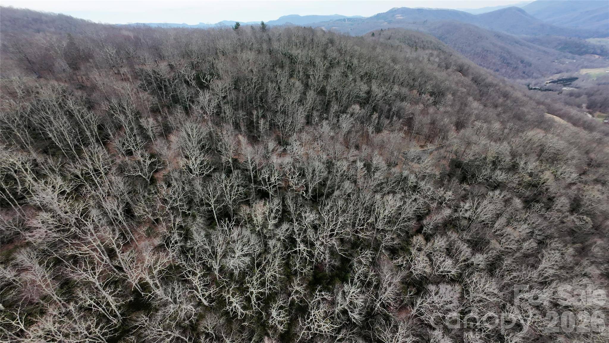 TBD Chardonnay CT #1, Newland, NC 28657