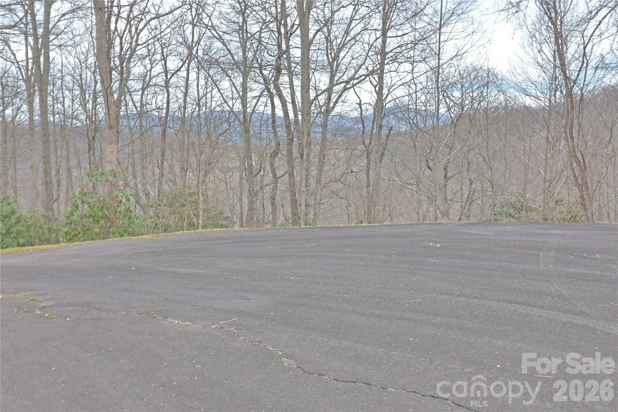 TBD Chardonnay CT #1, Newland, NC 28657