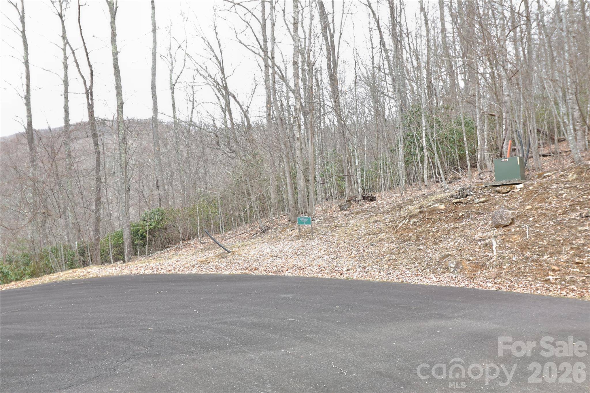 TBD Chardonnay CT #1, Newland, NC 28657