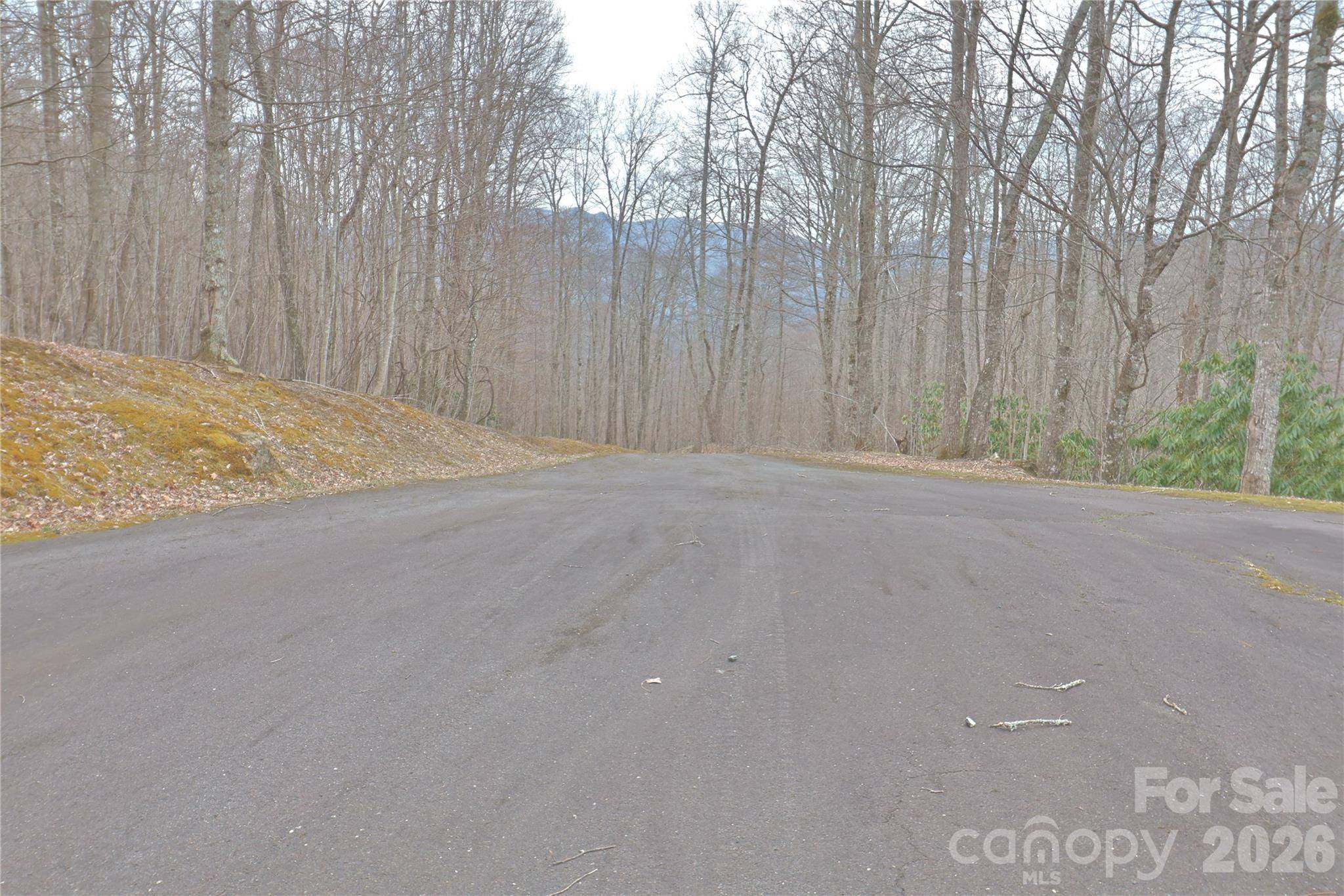 TBD Chardonnay CT #1, Newland, NC 28657