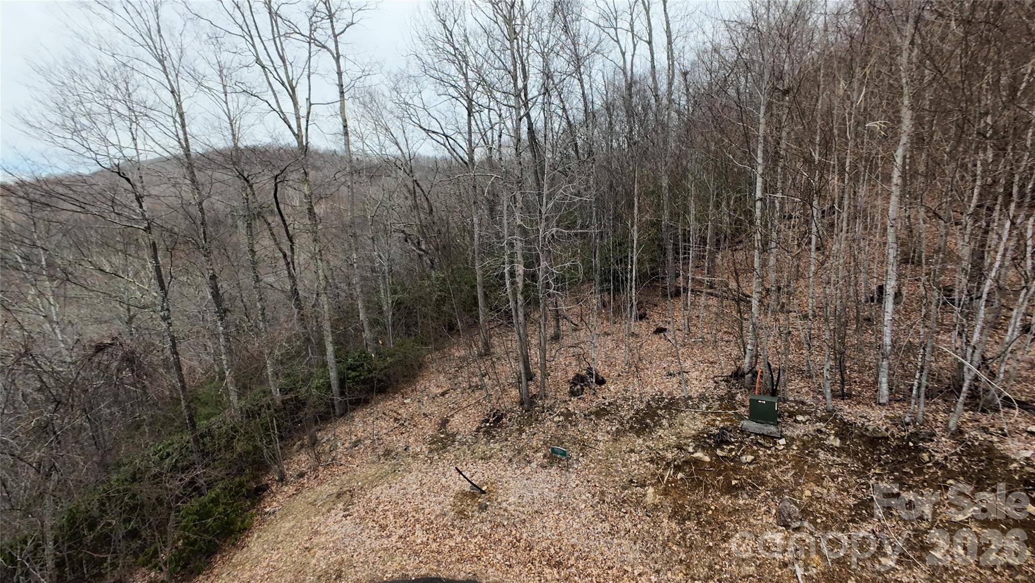 TBD Chardonnay CT #1, Newland, NC 28657