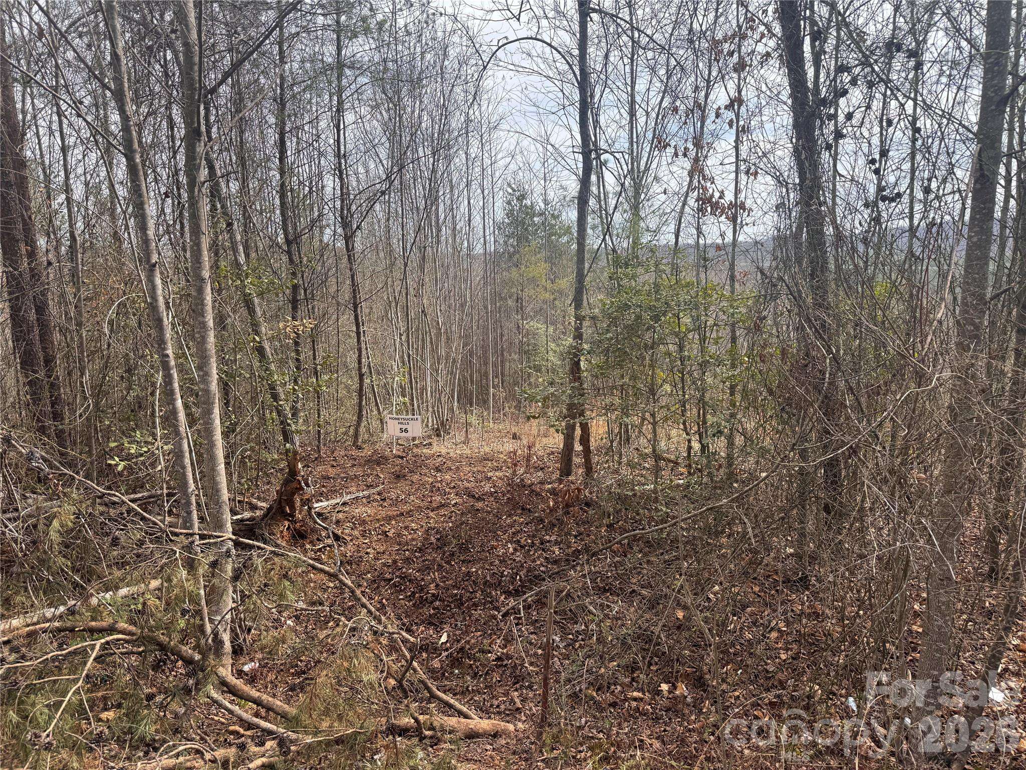 00 Billings Hill Church RD #56, Traphill, NC 28685