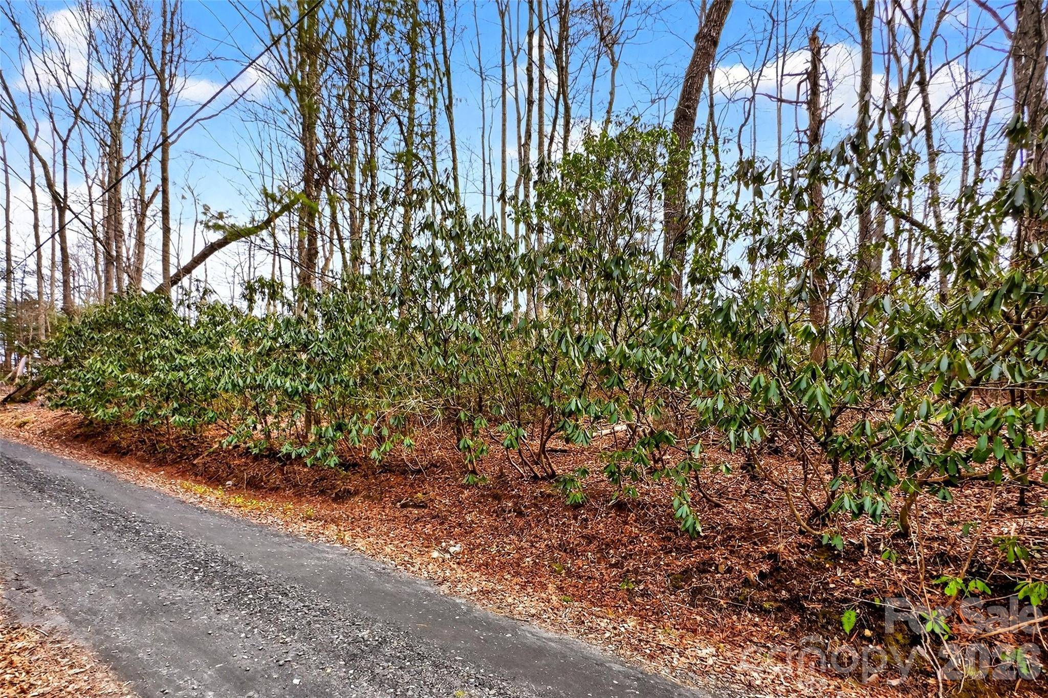 TBD Red Bird RD, Spruce Pine, NC 28777