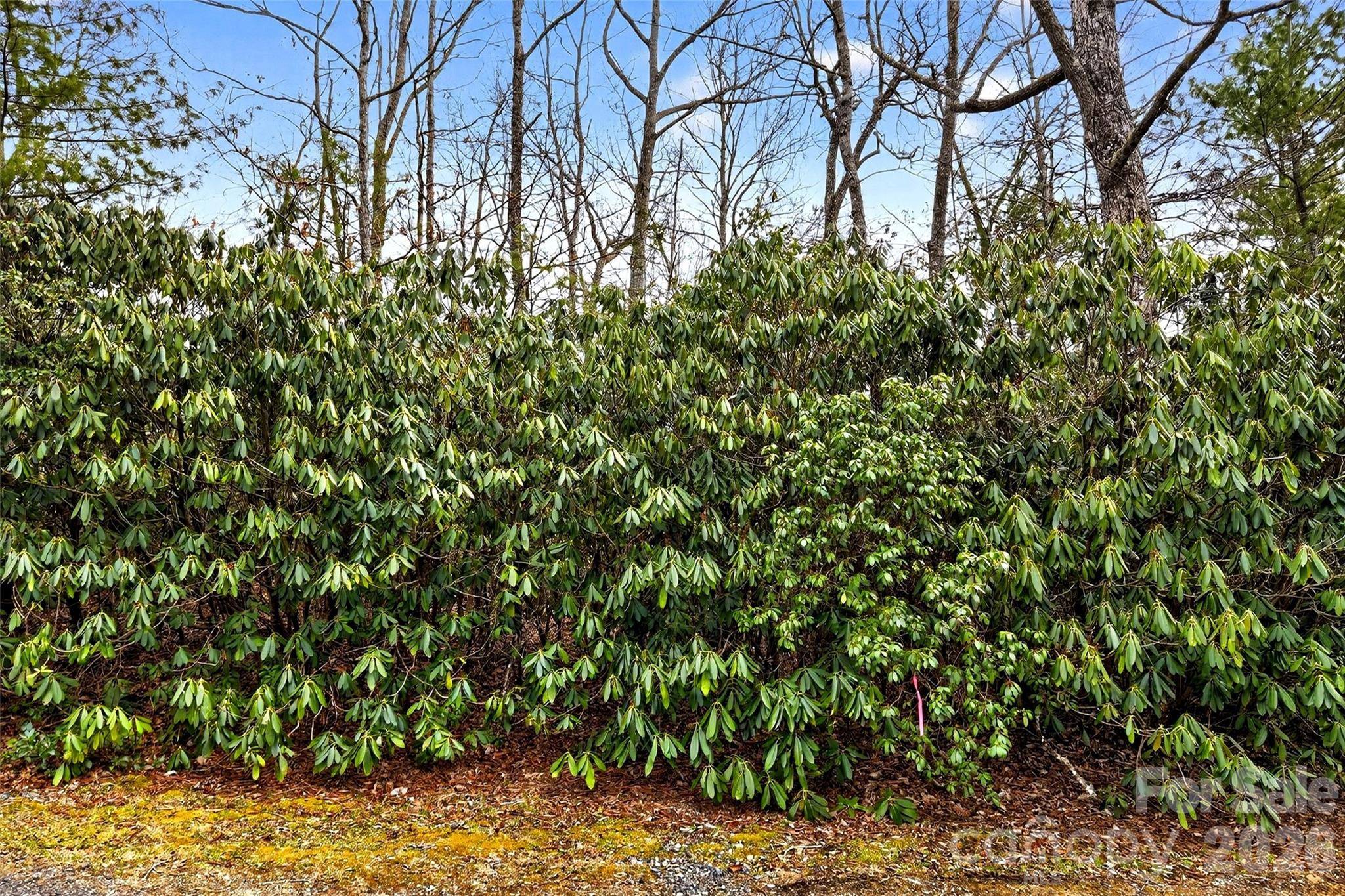 TBD Red Bird RD, Spruce Pine, NC 28777
