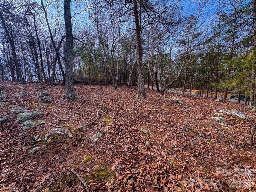 1026 Sierra Trace RD, Denton, NC 27239
