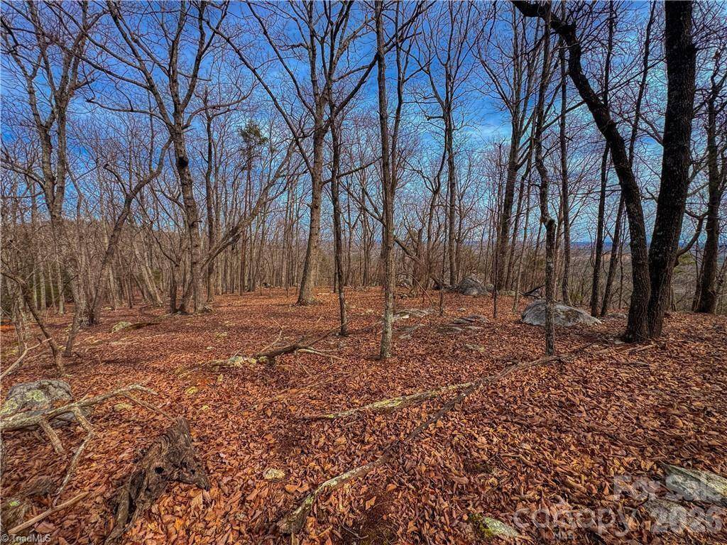 1026 Sierra Trace RD, Denton, NC 27239