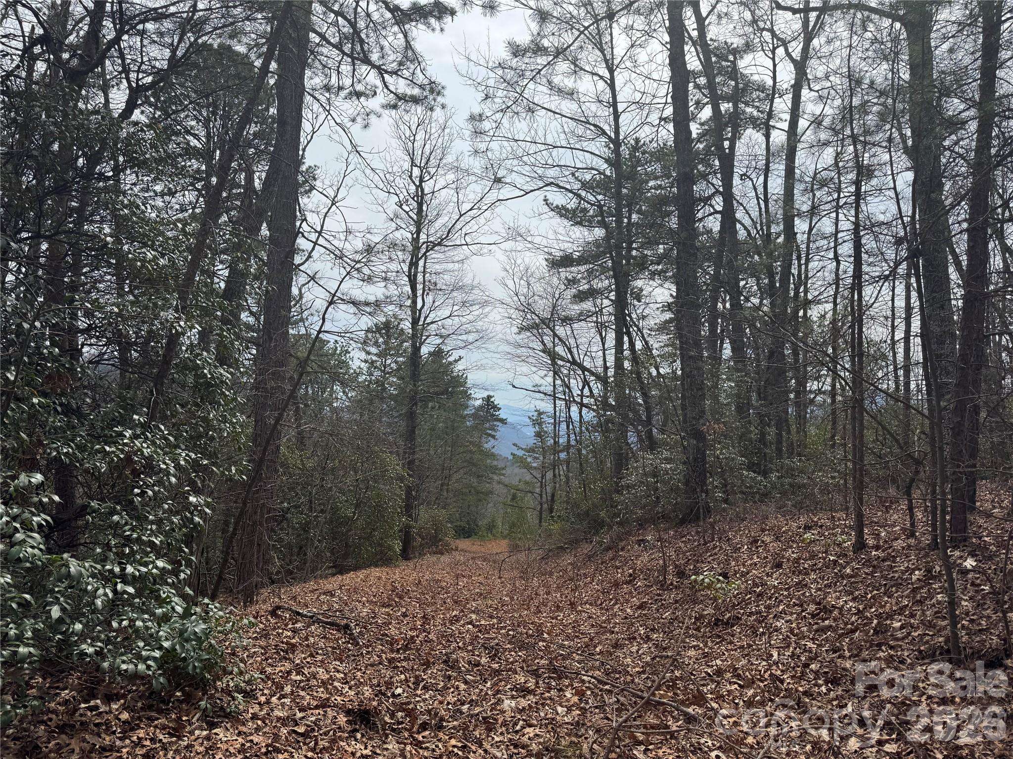 850 Harmonys Edge DR #850, Old Fort, NC 28762