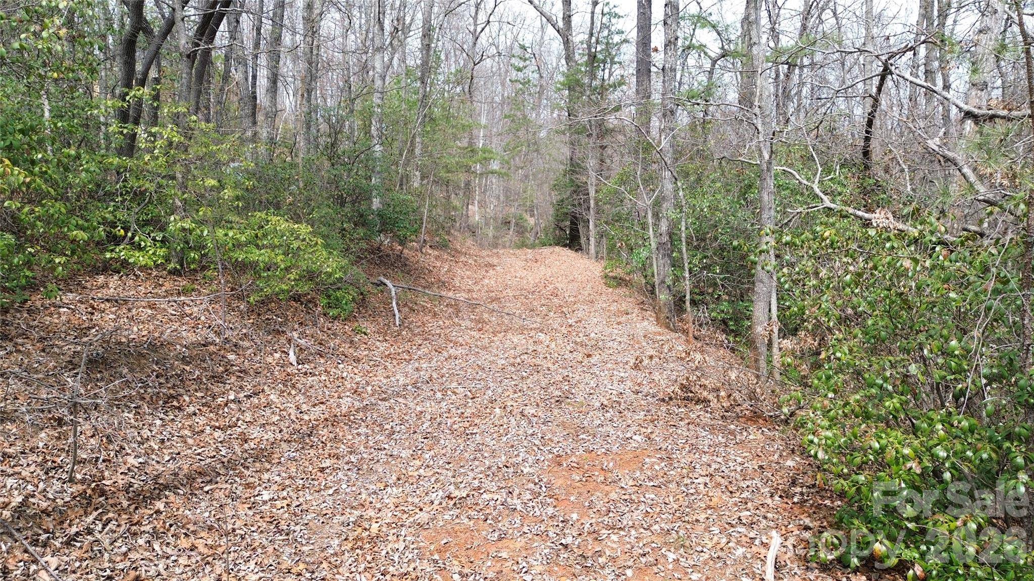 850 Harmonys Edge DR #850, Old Fort, NC 28762