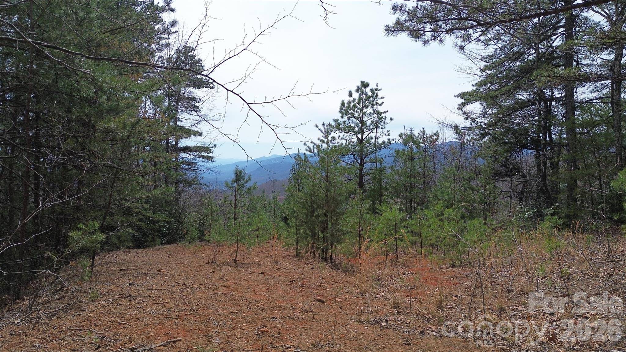 850 Harmonys Edge DR #850, Old Fort, NC 28762