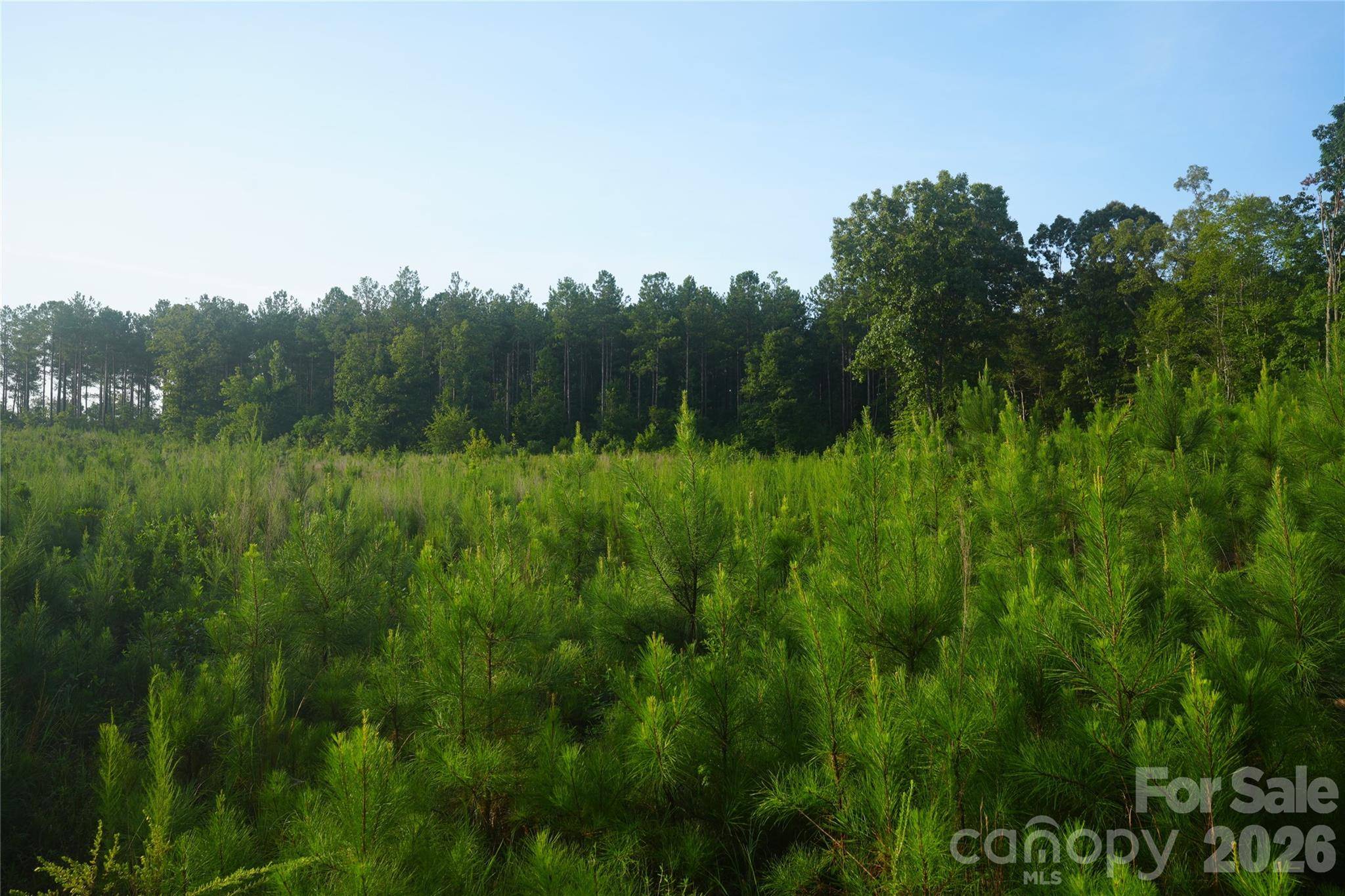 00 Bobby Faucette RD #4, Jonesville, SC 29353