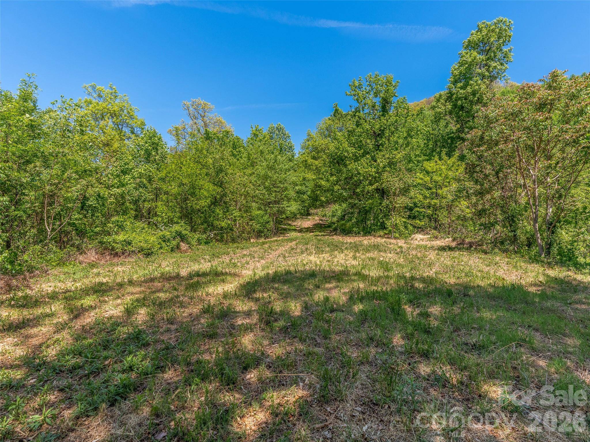 488 Warbler LN #H-13, Black Mountain, NC 28711