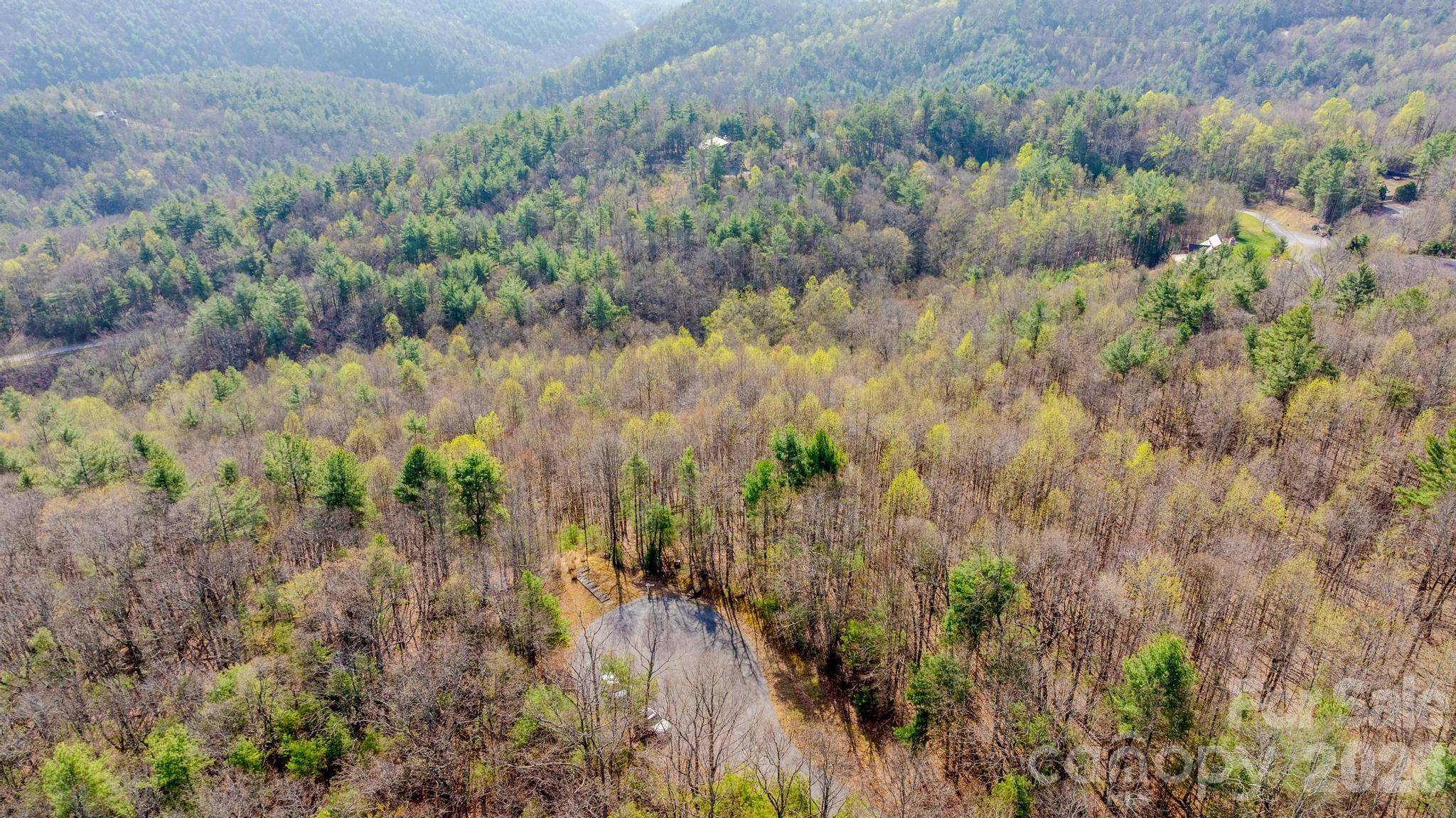 Lot 59 (7C) Cielo DR #60 (6C), Purlear, NC 28665