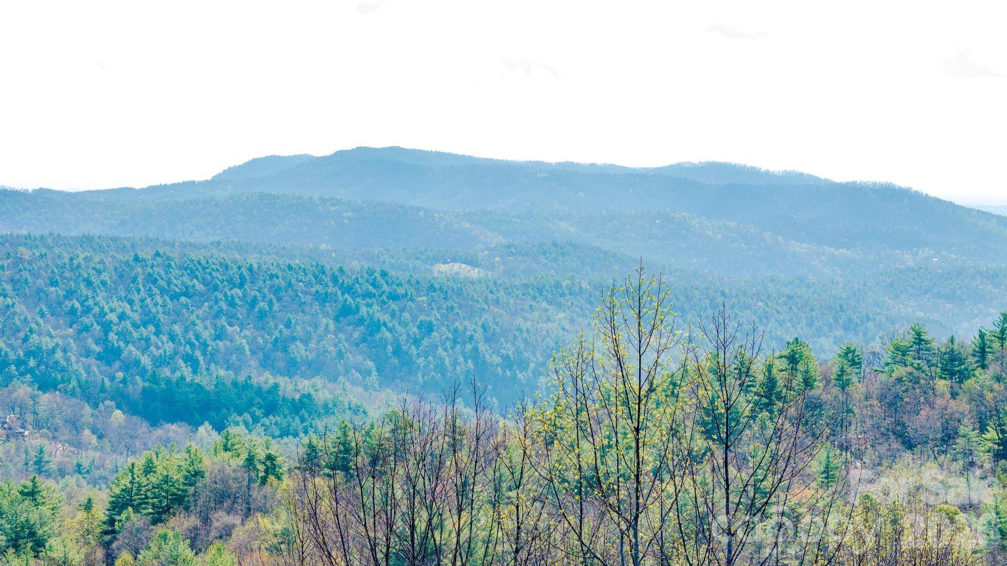 Lot 59 (7C) Cielo DR #60 (6C), Purlear, NC 28665