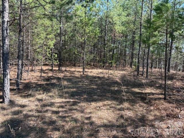 00 Hope DR, Rutherfordton, NC 28139