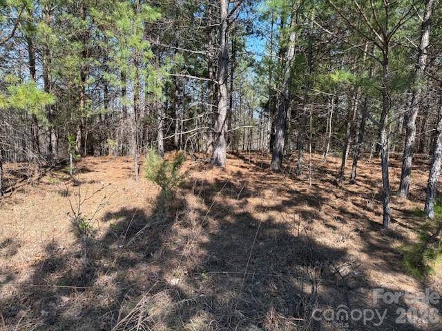 00 Hope DR, Rutherfordton, NC 28139