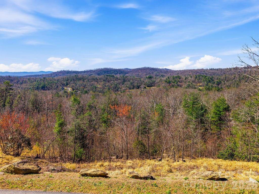 367 Curtain BLF, Hendersonville, NC 28791