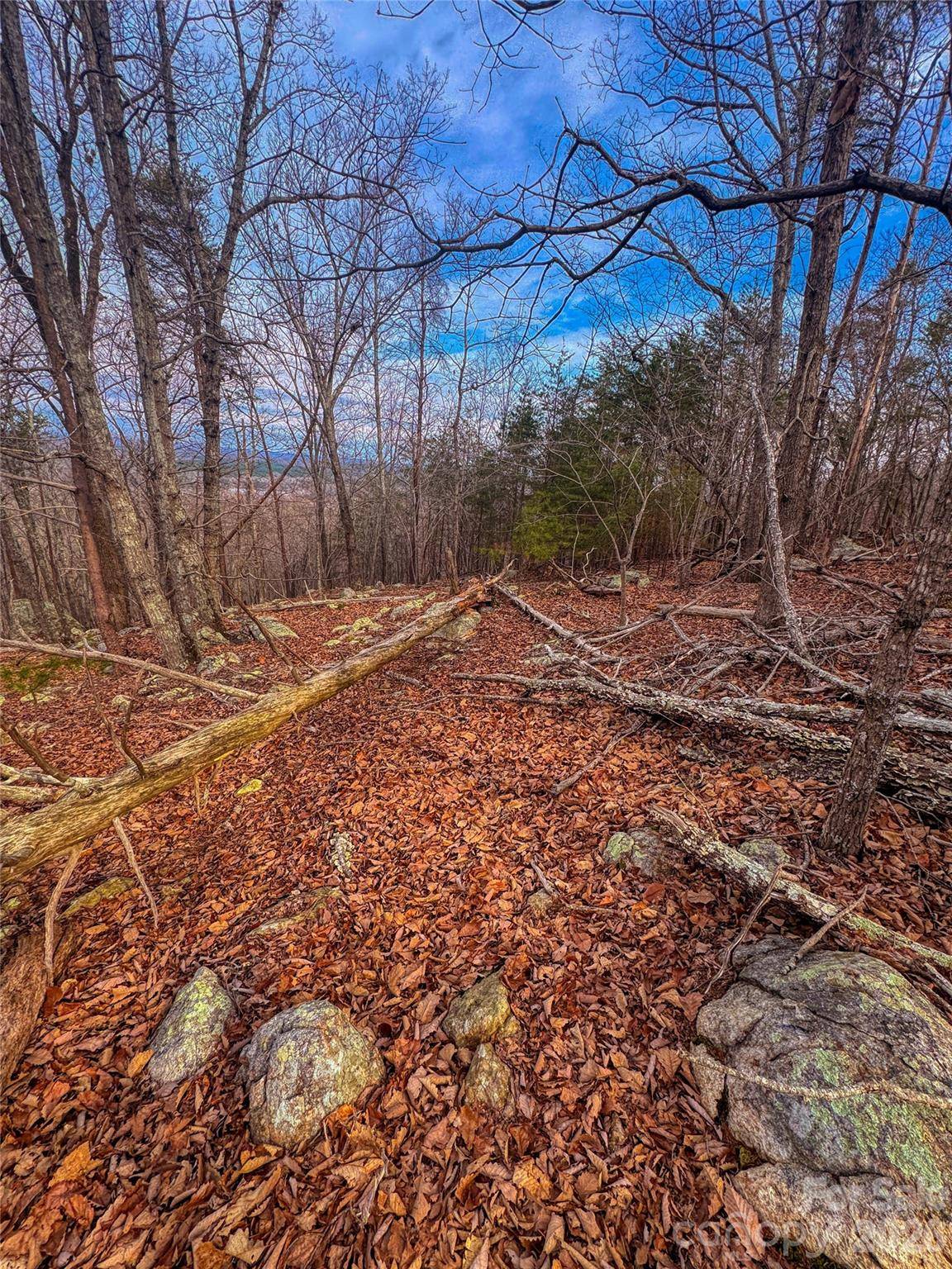 2243 Sierra Trace RD, Denton, NC 27239