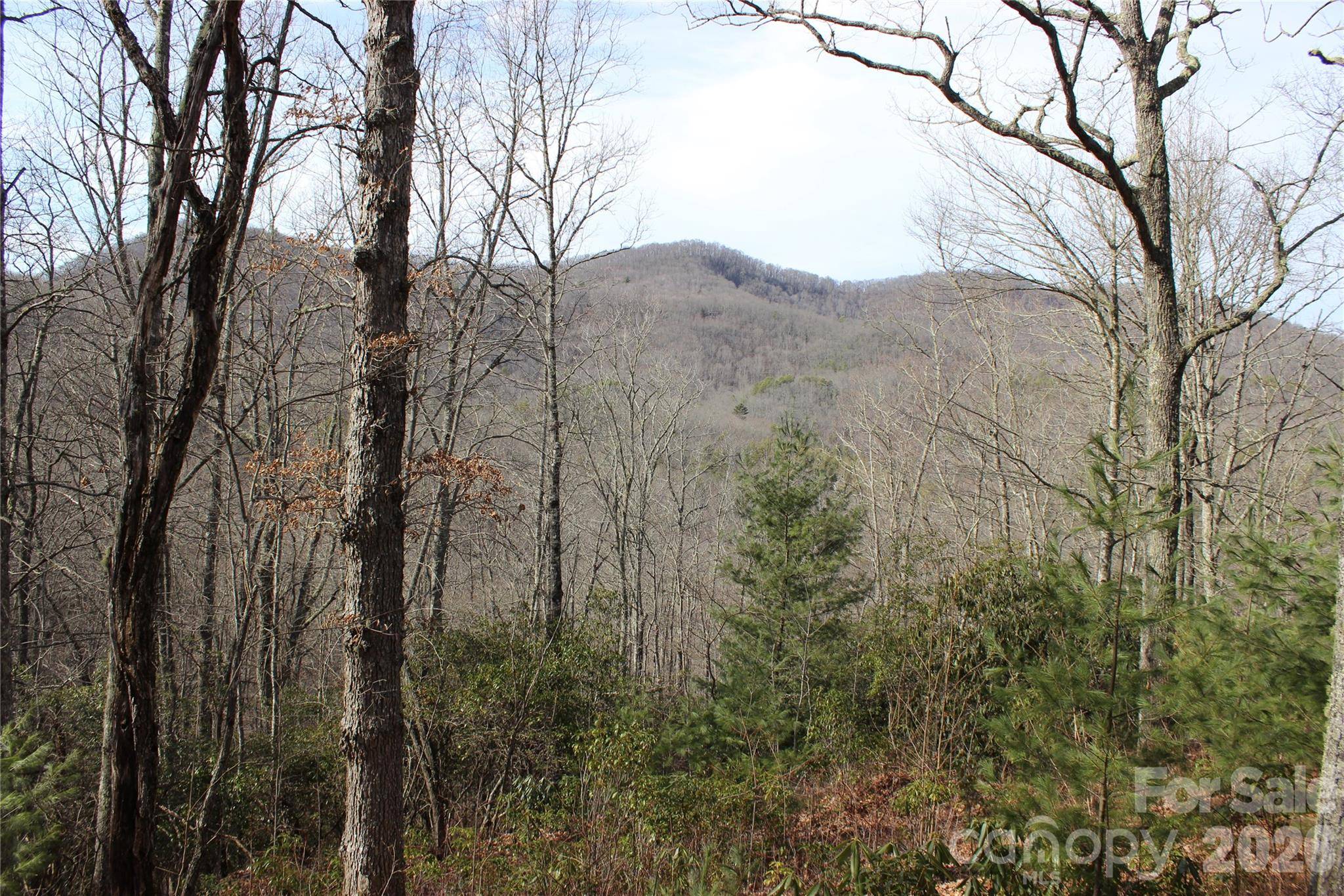 Lots 82 & 83 Waterdance DR, Tuckasegee, NC 28783