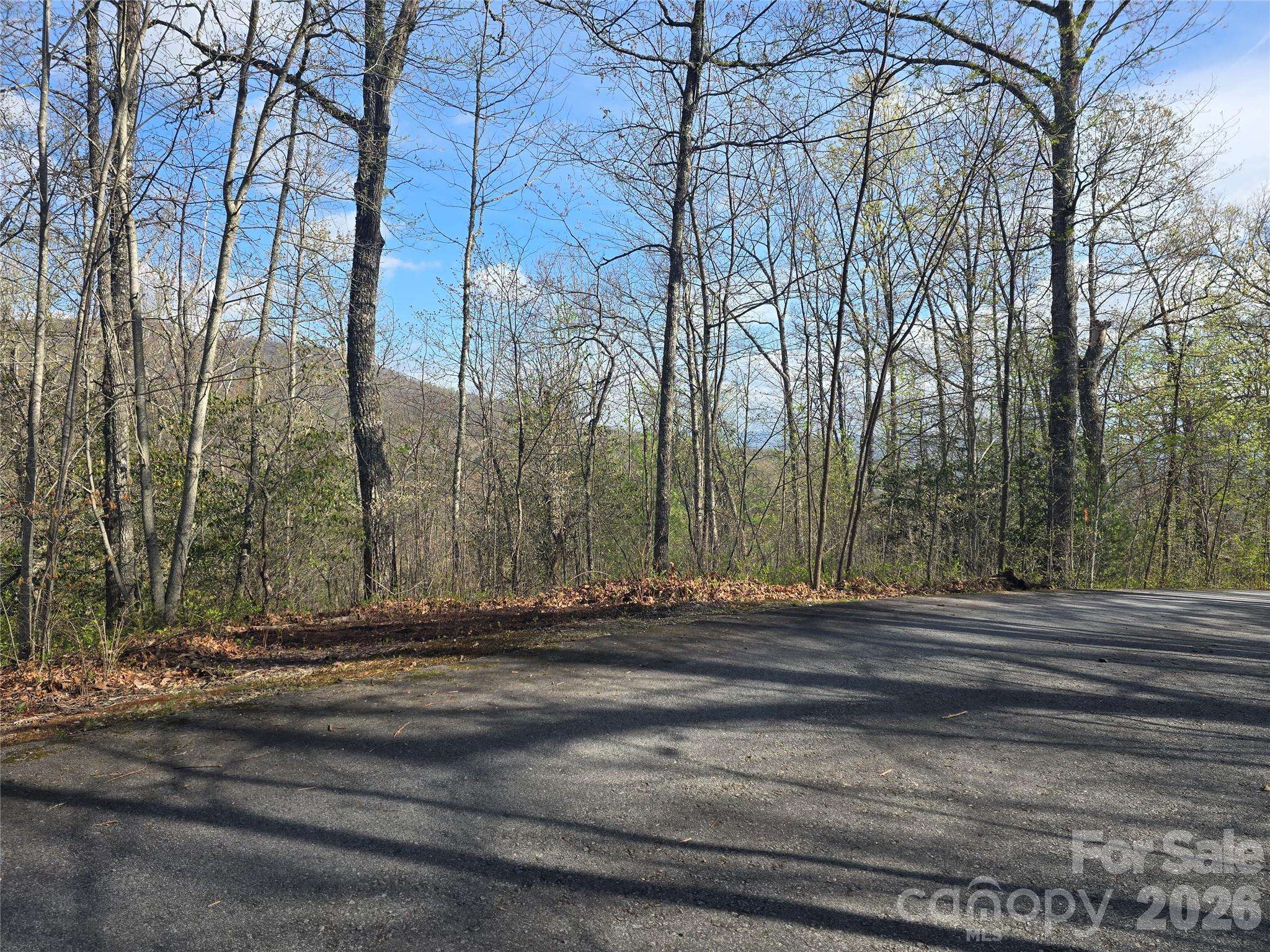 Lots 82 & 83 Waterdance DR, Tuckasegee, NC 28783