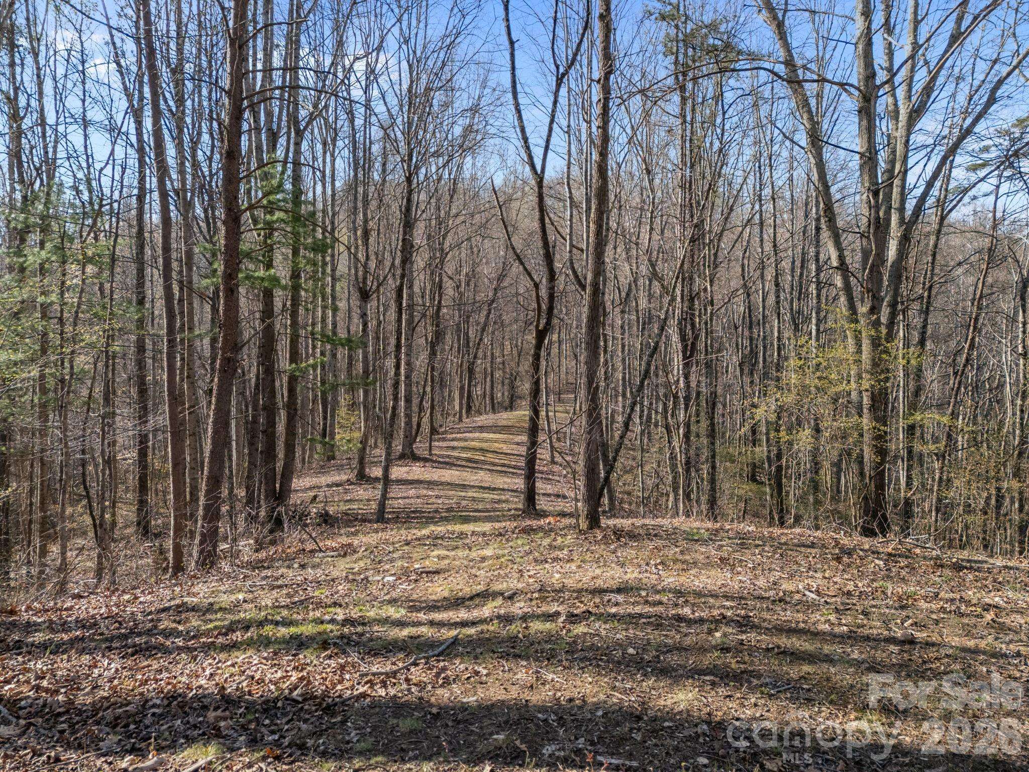9999 Hidden Cove RD, Leicester, NC 28748