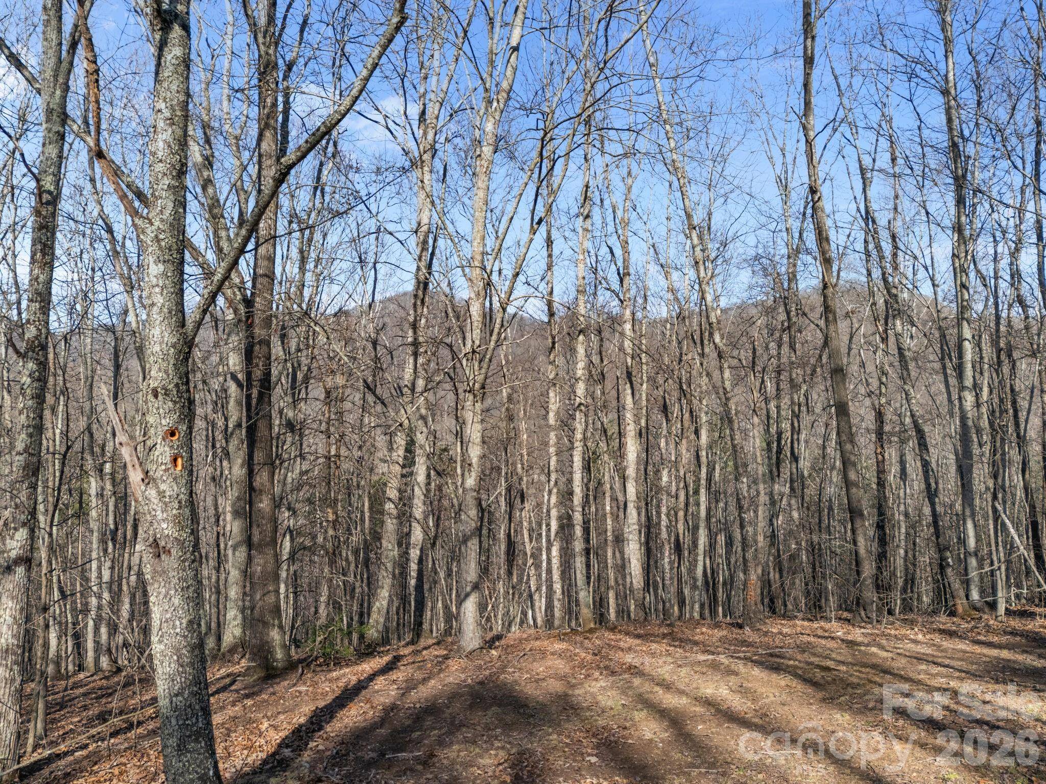 9999 Hidden Cove RD, Leicester, NC 28748