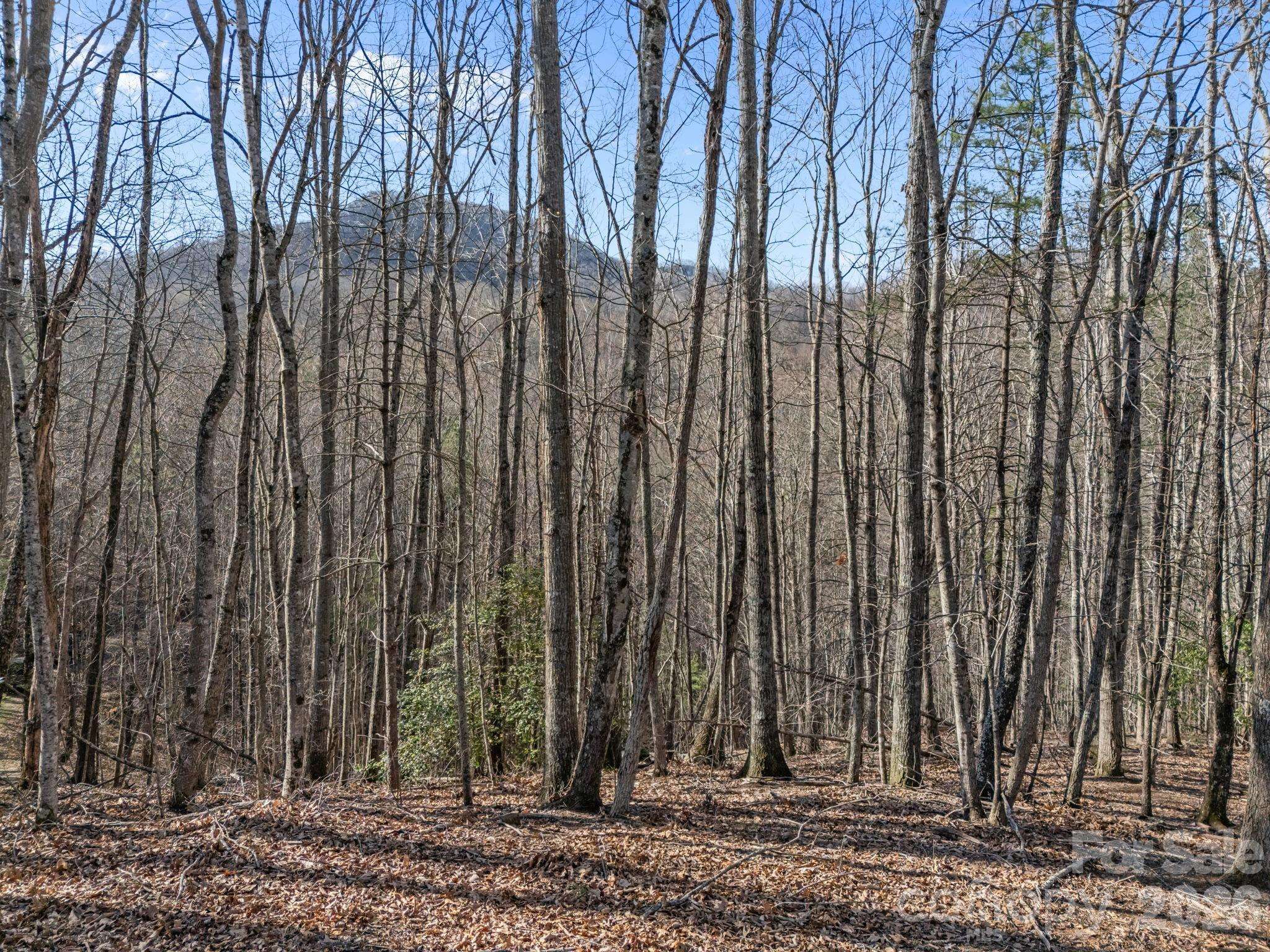 9999 Hidden Cove RD, Leicester, NC 28748