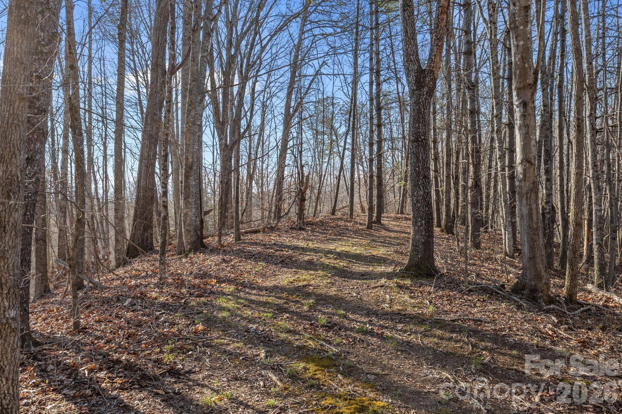 9999 Hidden Cove RD, Leicester, NC 28748