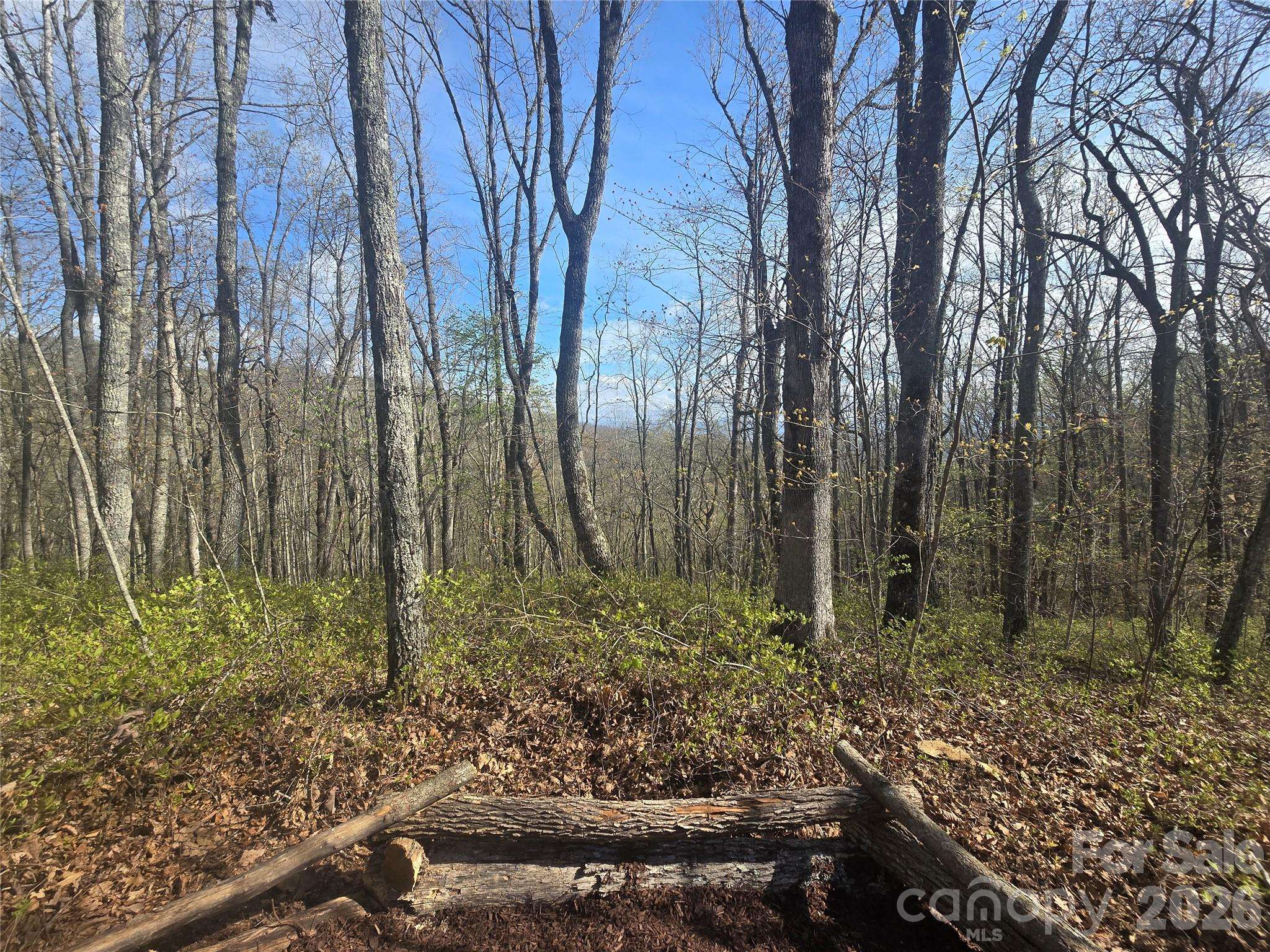 Lot 85 Waterdance DR, Tuckasegee, NC 28783