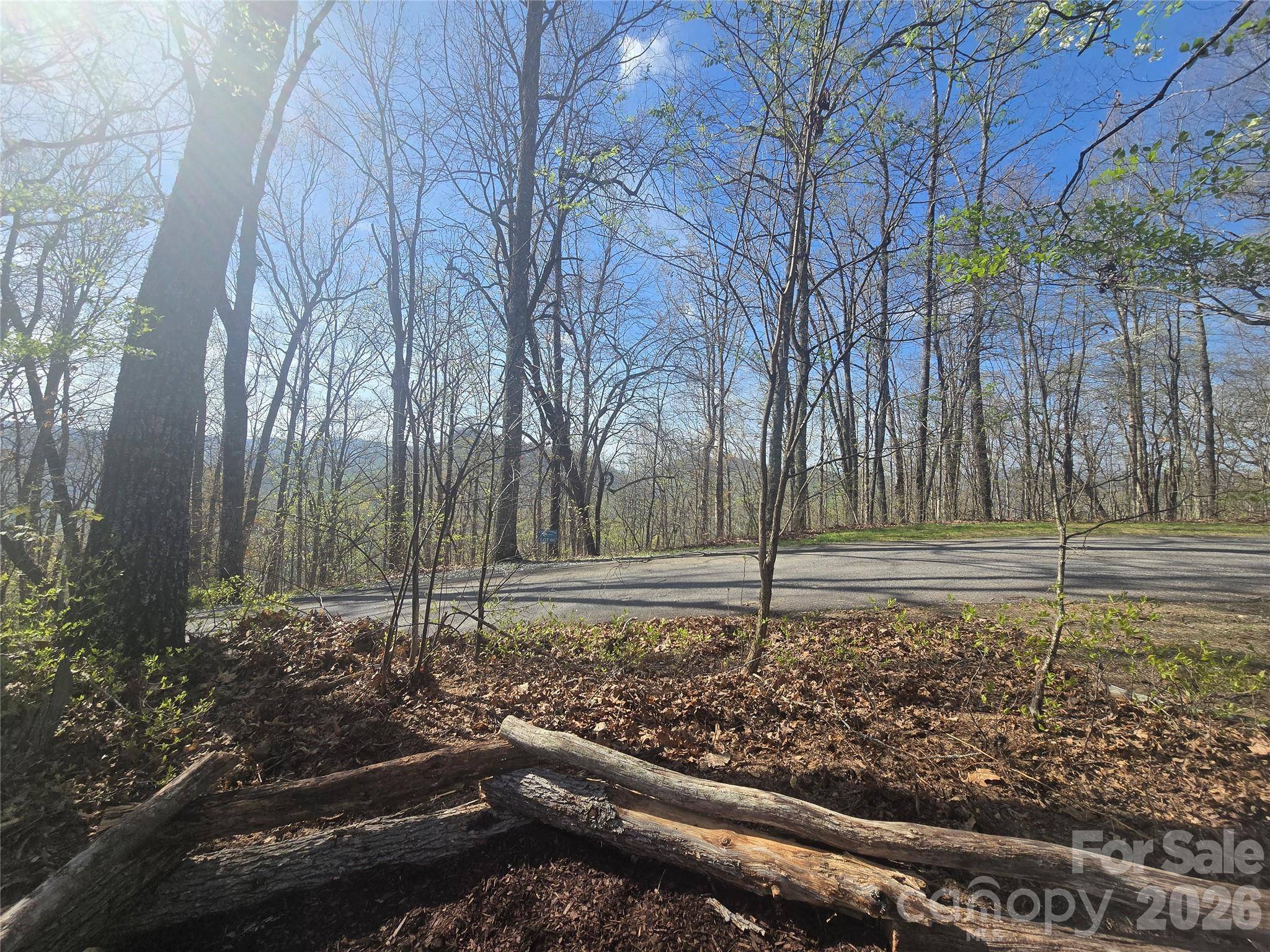 Lot 85 Waterdance DR, Tuckasegee, NC 28783