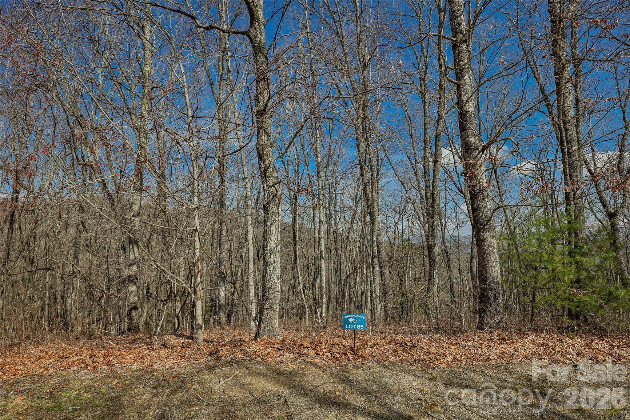 Lot 85 Waterdance DR, Tuckasegee, NC 28783