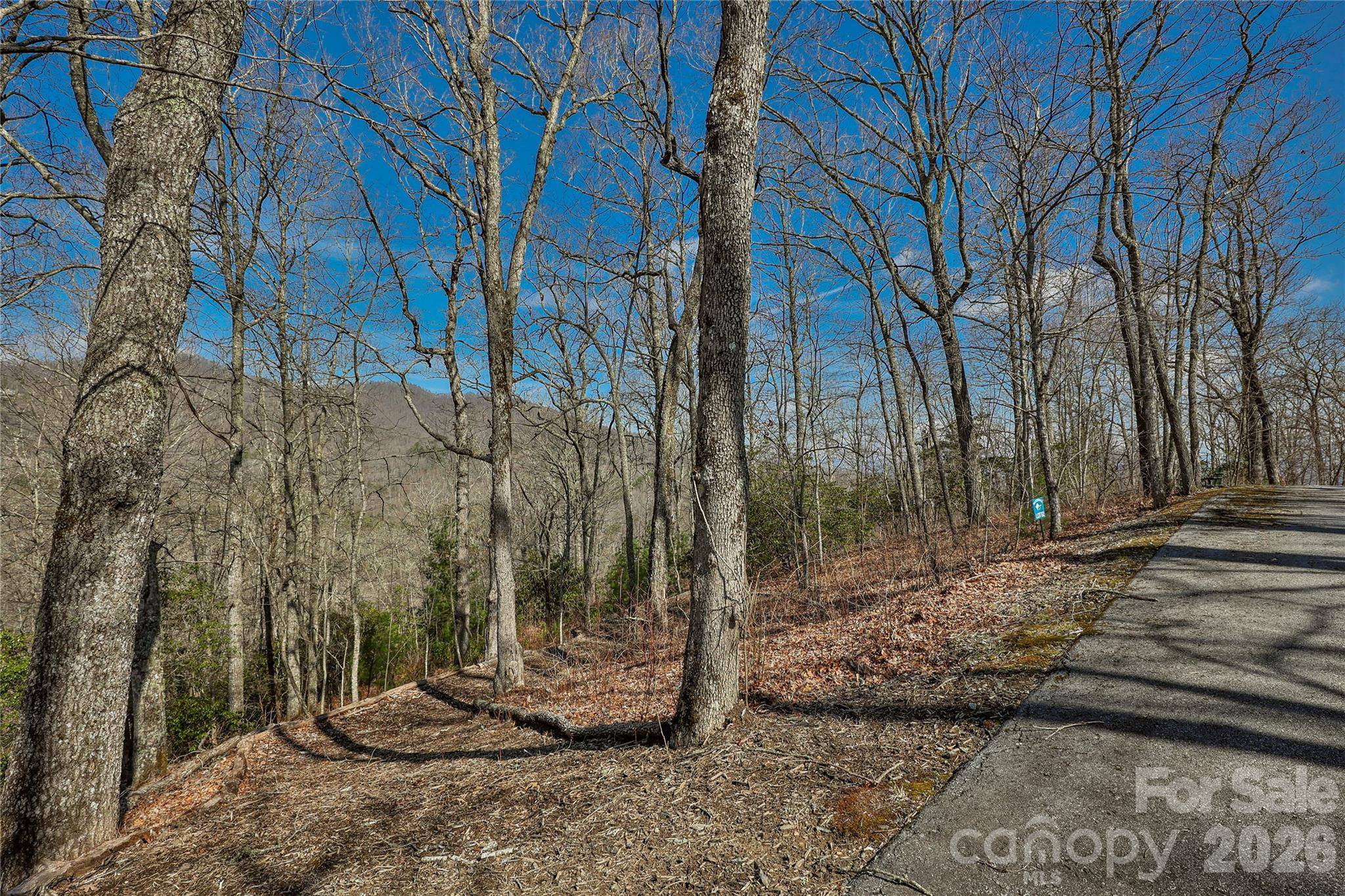 Lot 85 Waterdance DR, Tuckasegee, NC 28783