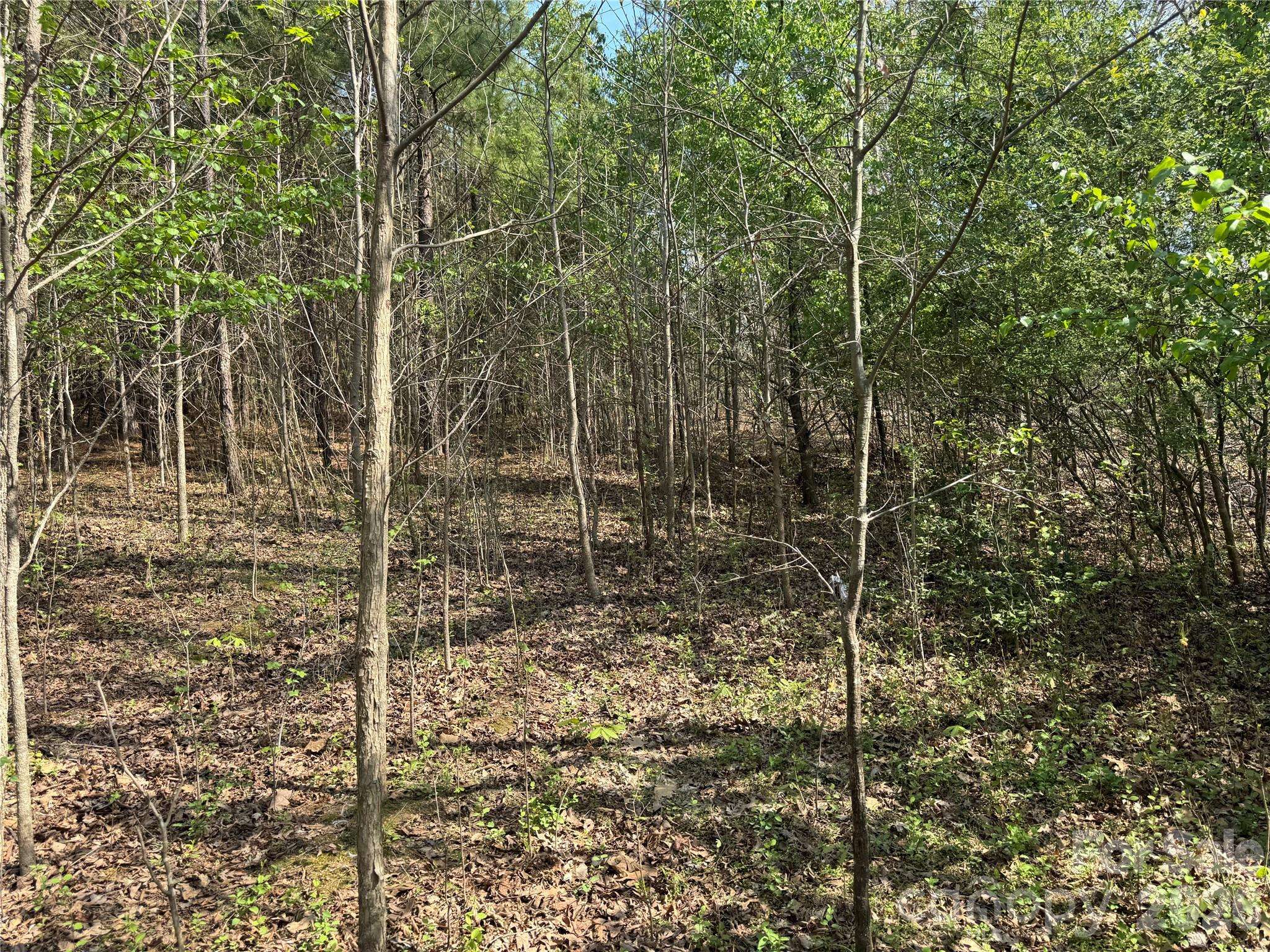 2228 Sam Newell RD, Matthews, NC 28105