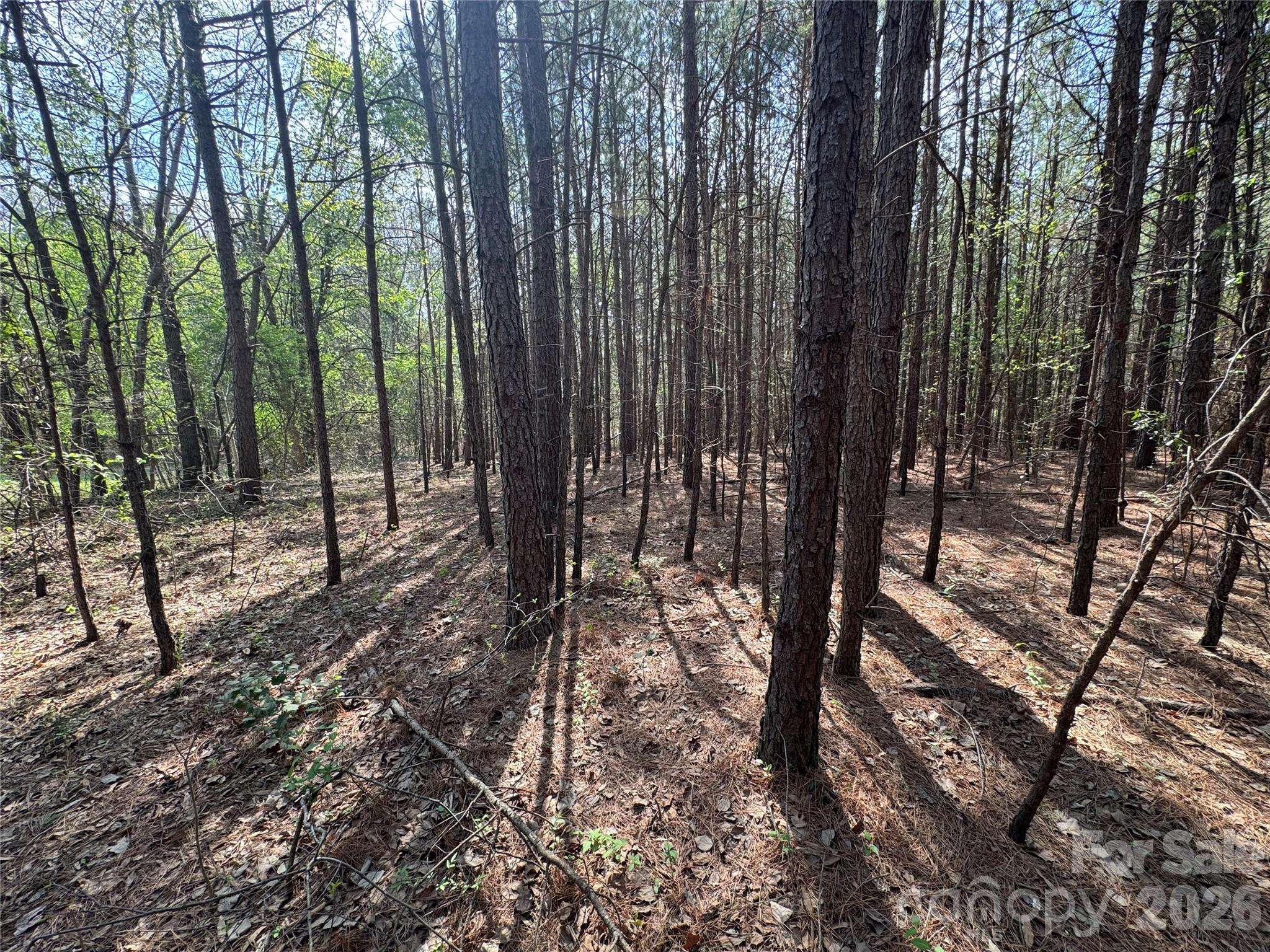 2228 Sam Newell RD, Matthews, NC 28105