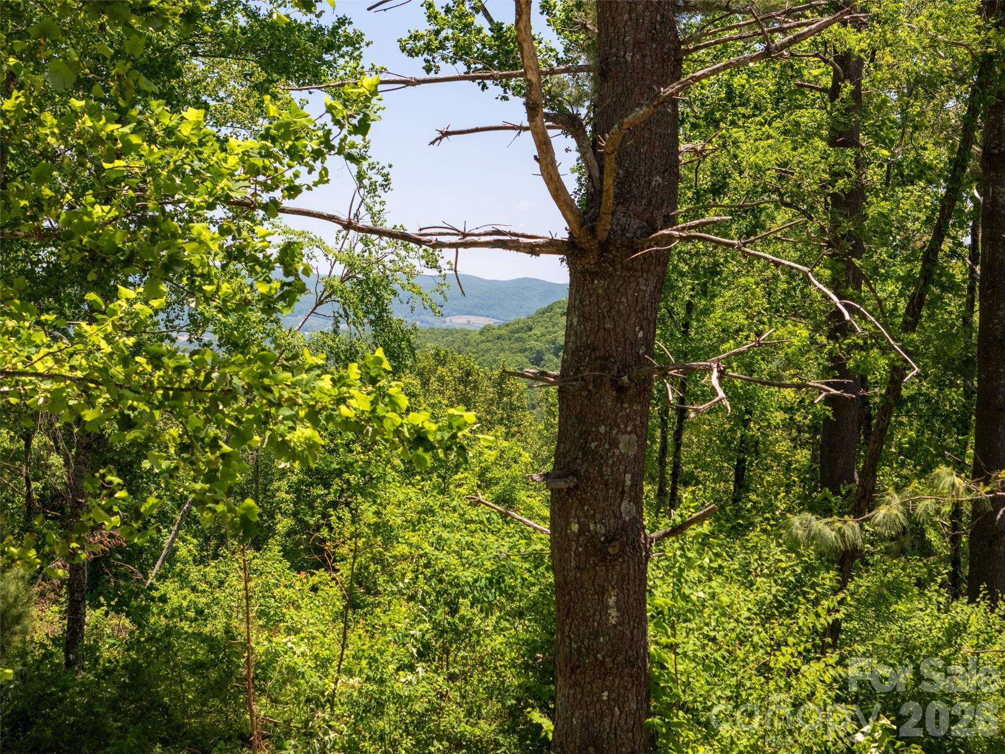 189 Dancing Bear DR, Hendersonville, NC 28792