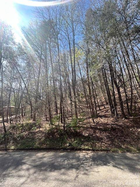Lot 51 Fairway DR, Lake Lure, NC 28746