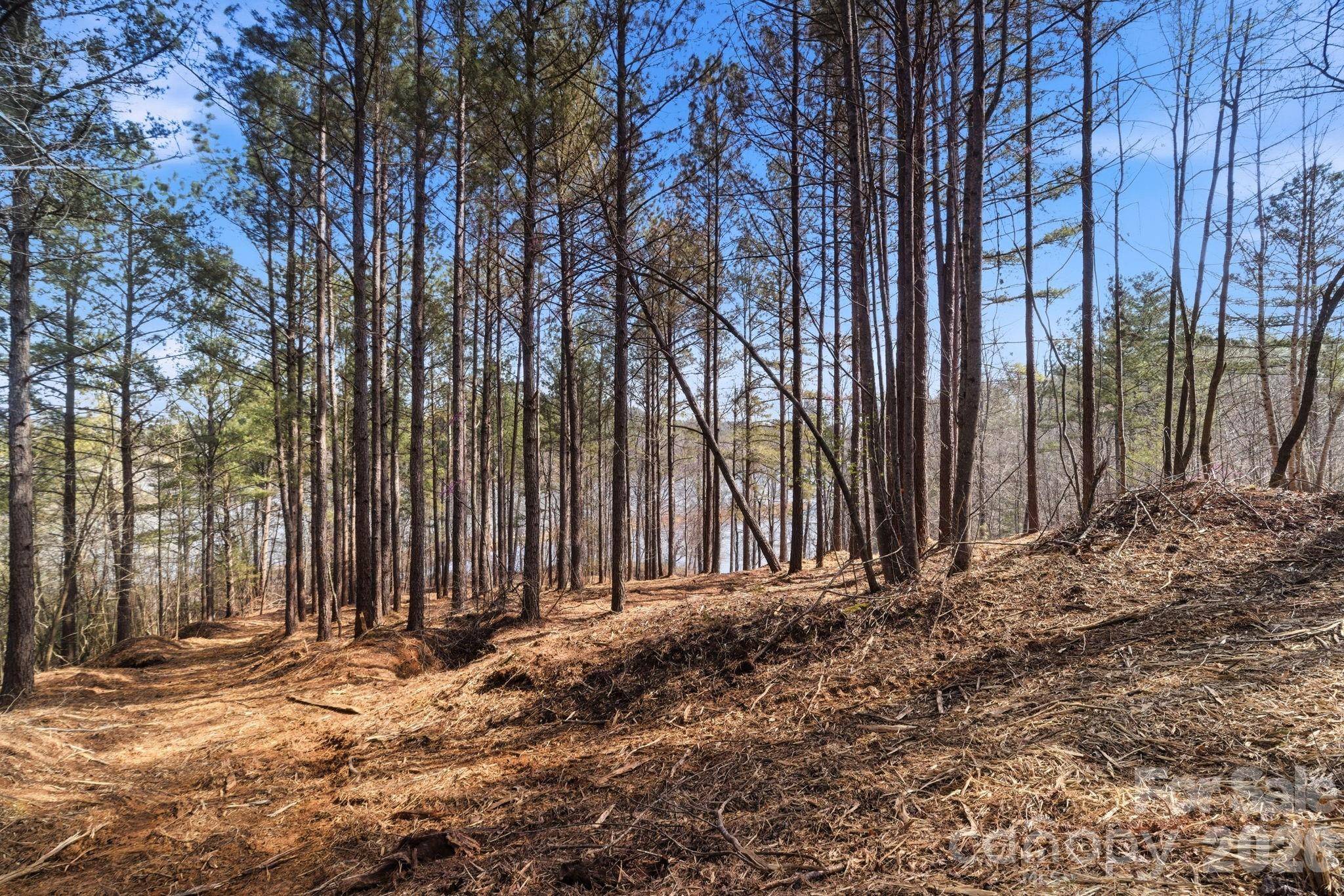 199 Table Rock TRCE NW #130, Valdese, NC 28690