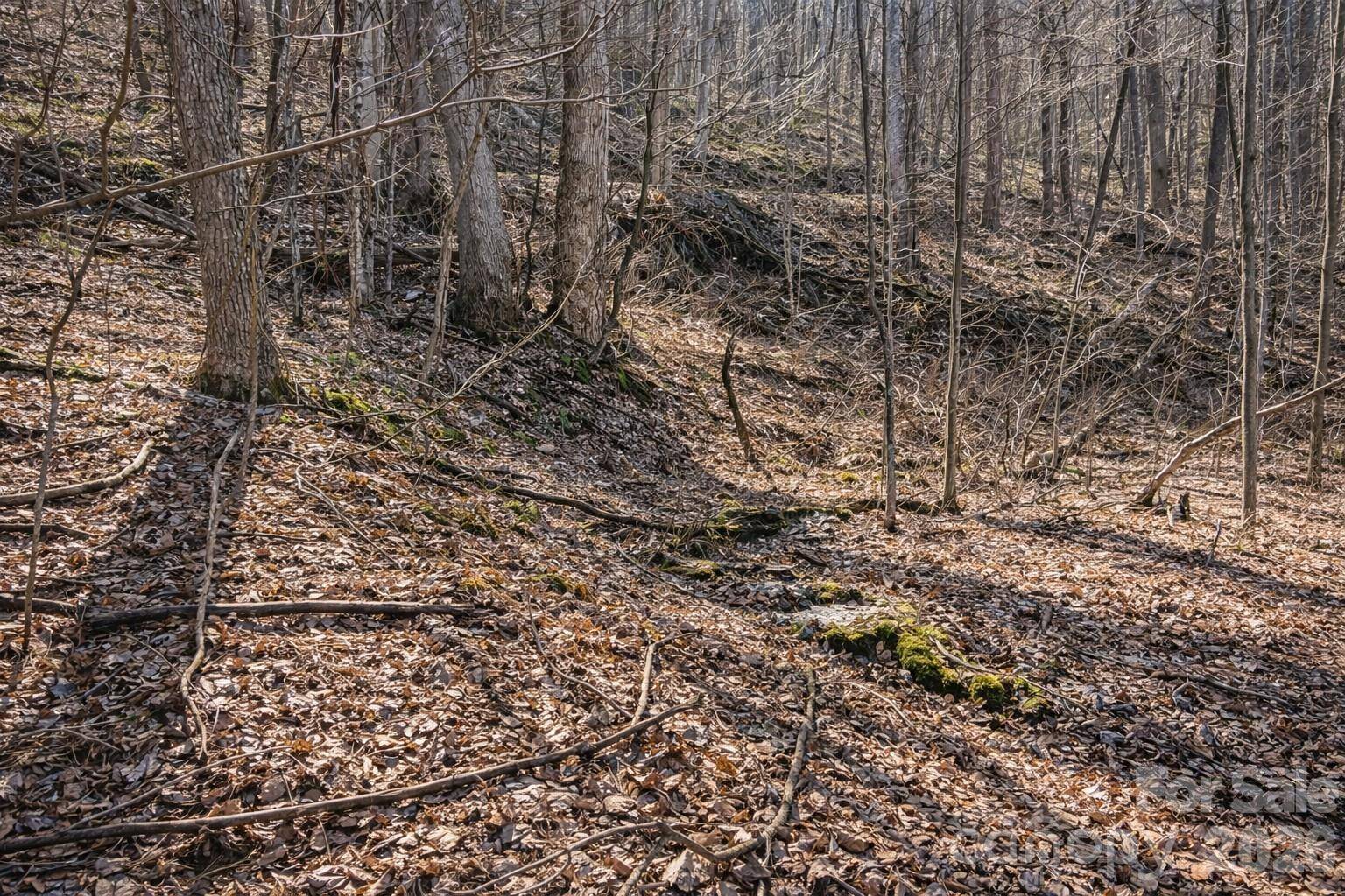 4 Buckeye RD #63, Maggie Valley, NC 28751